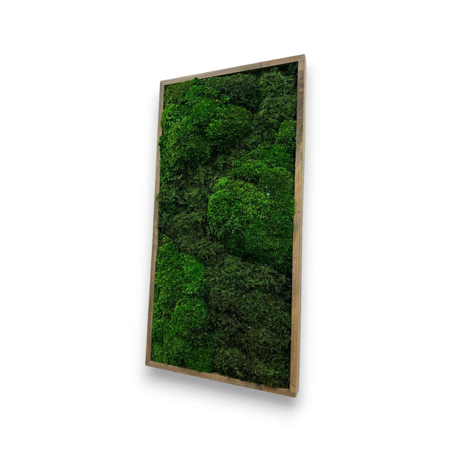 Moss Art Frame - The Prairie Fields