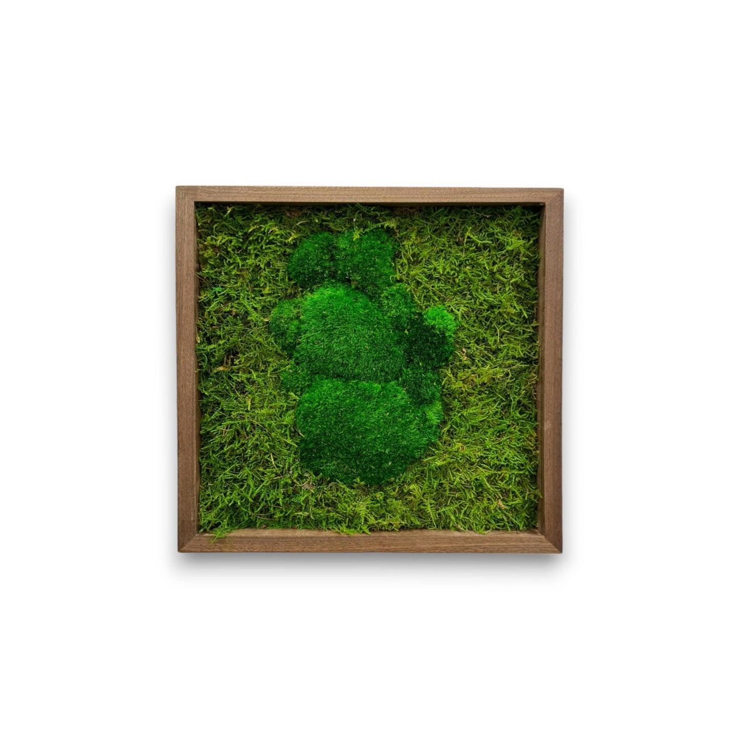 Moss Art Frame - Green Volcano