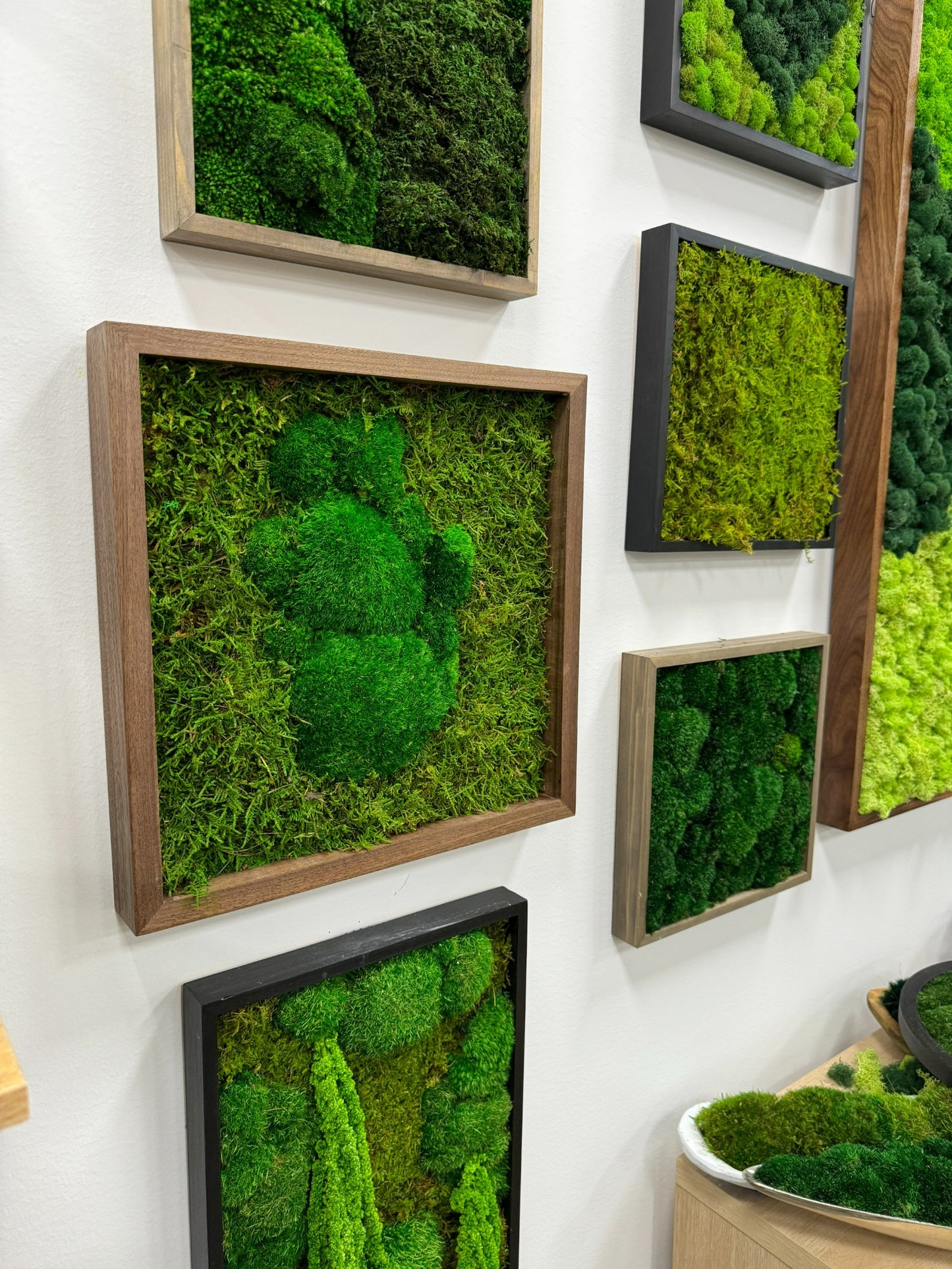 Moss Art Frame - Green Volcano