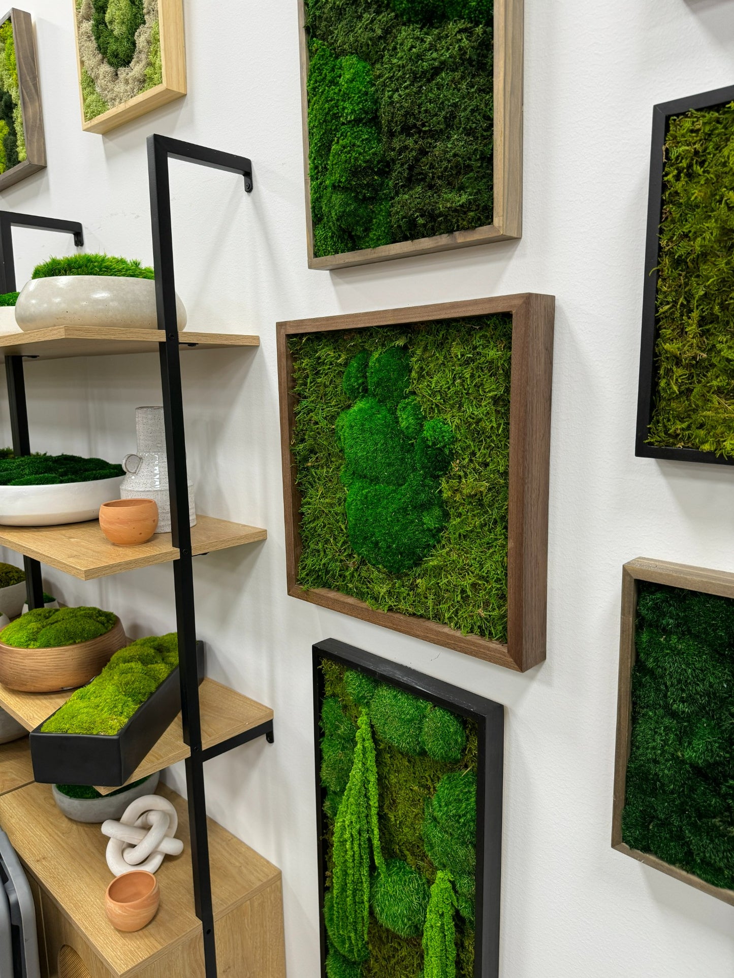 Moss Art Frame - Green Volcano