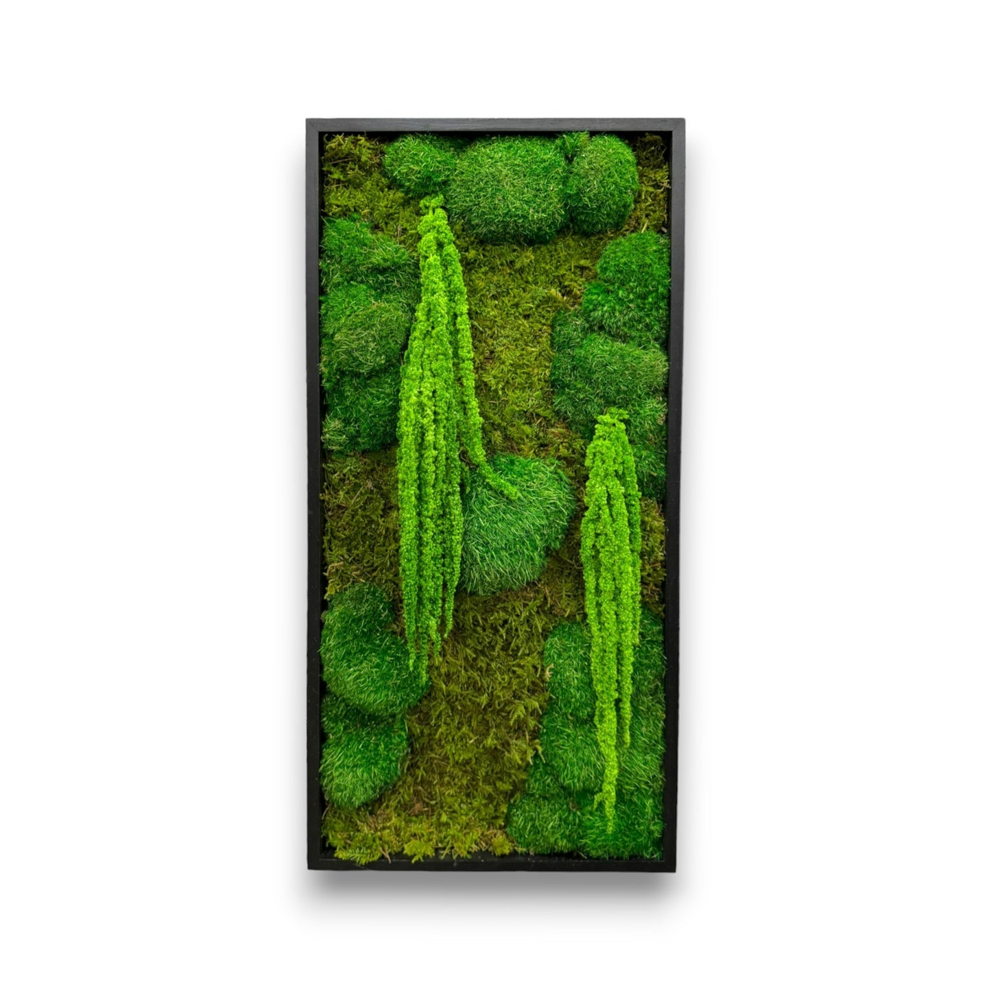 Moss Art Frame - Into the Green