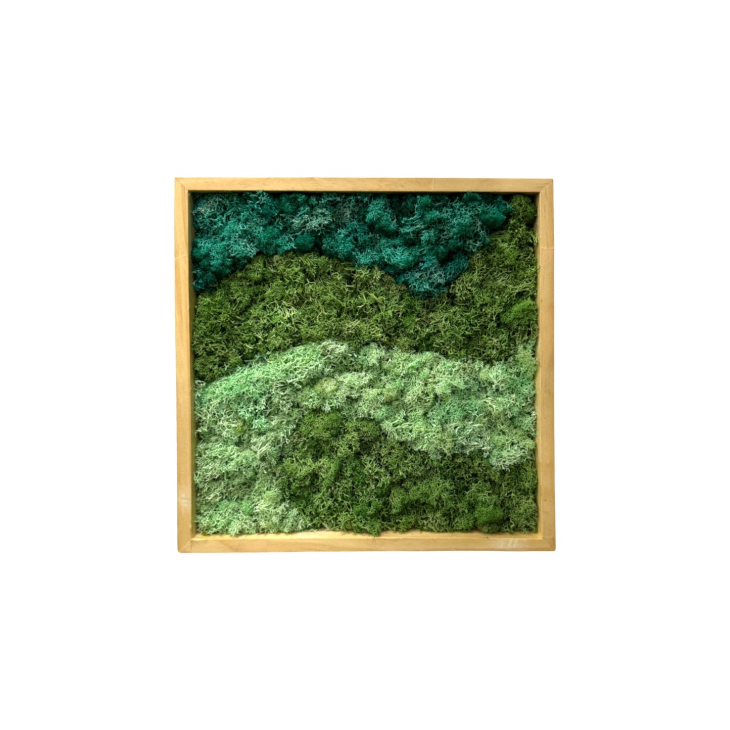 Reindeer Moss Frame - Ocean Mist