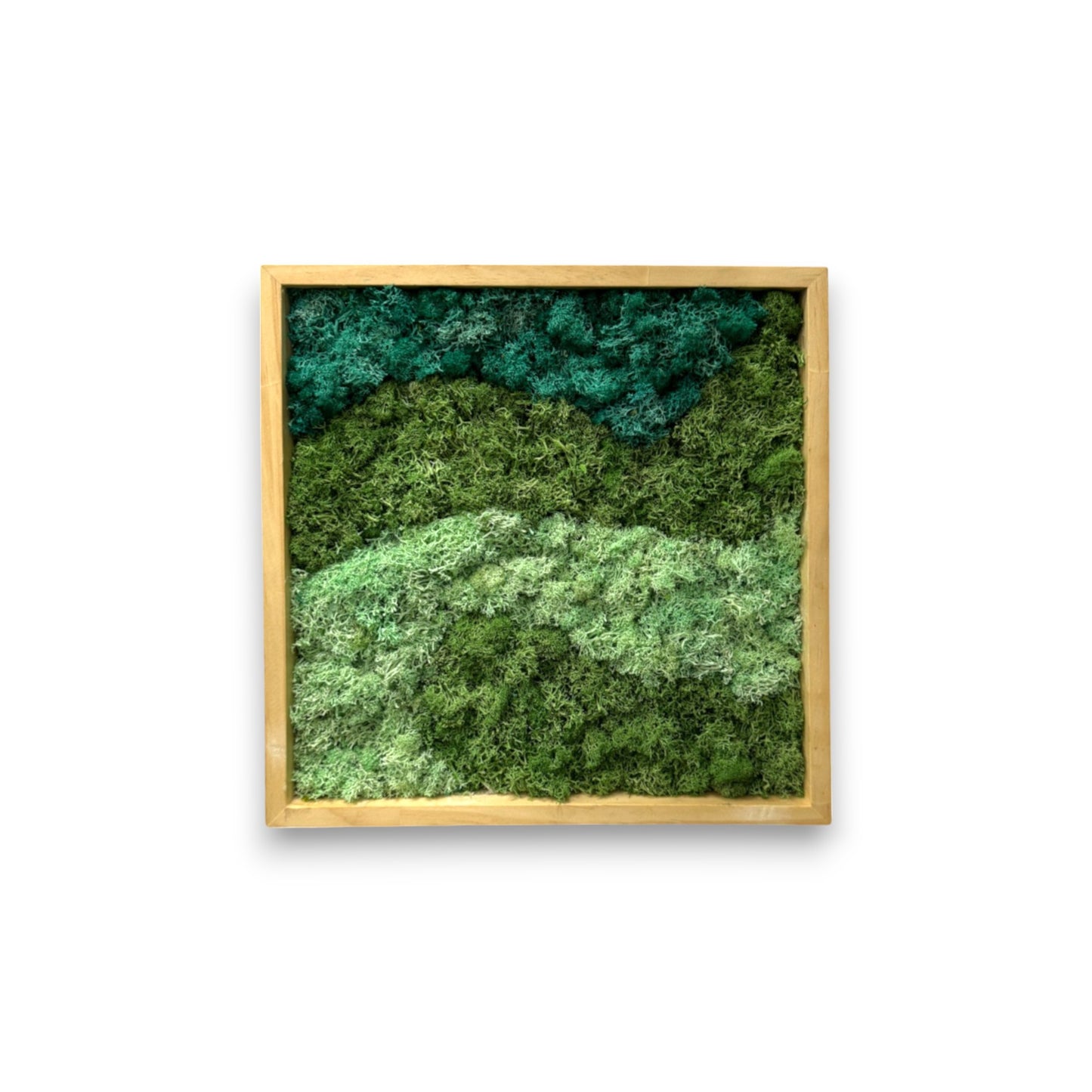 Reindeer Moss Frame - Ocean Mist