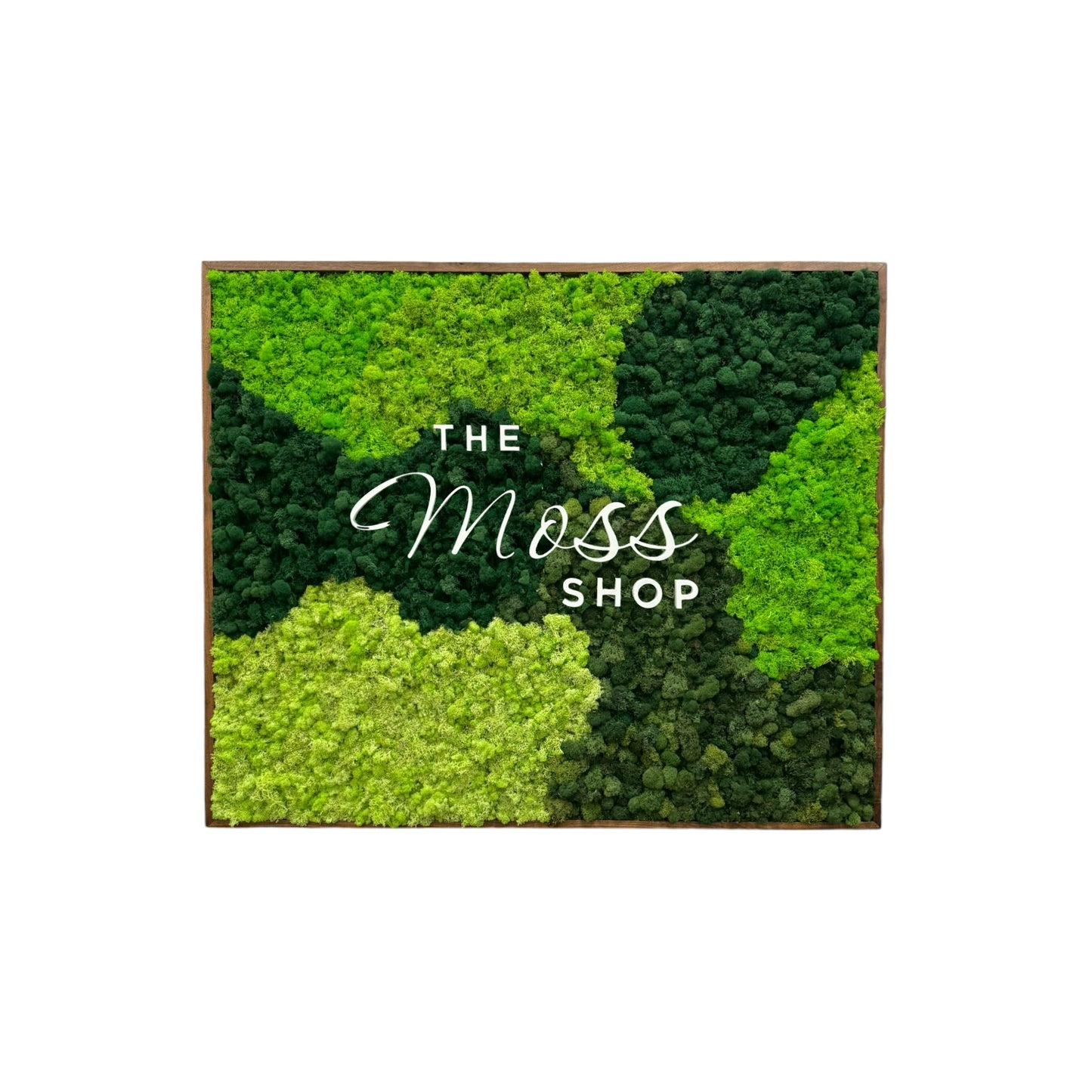 Custom Business Logo Moss Art Frame, Reindeer Moss