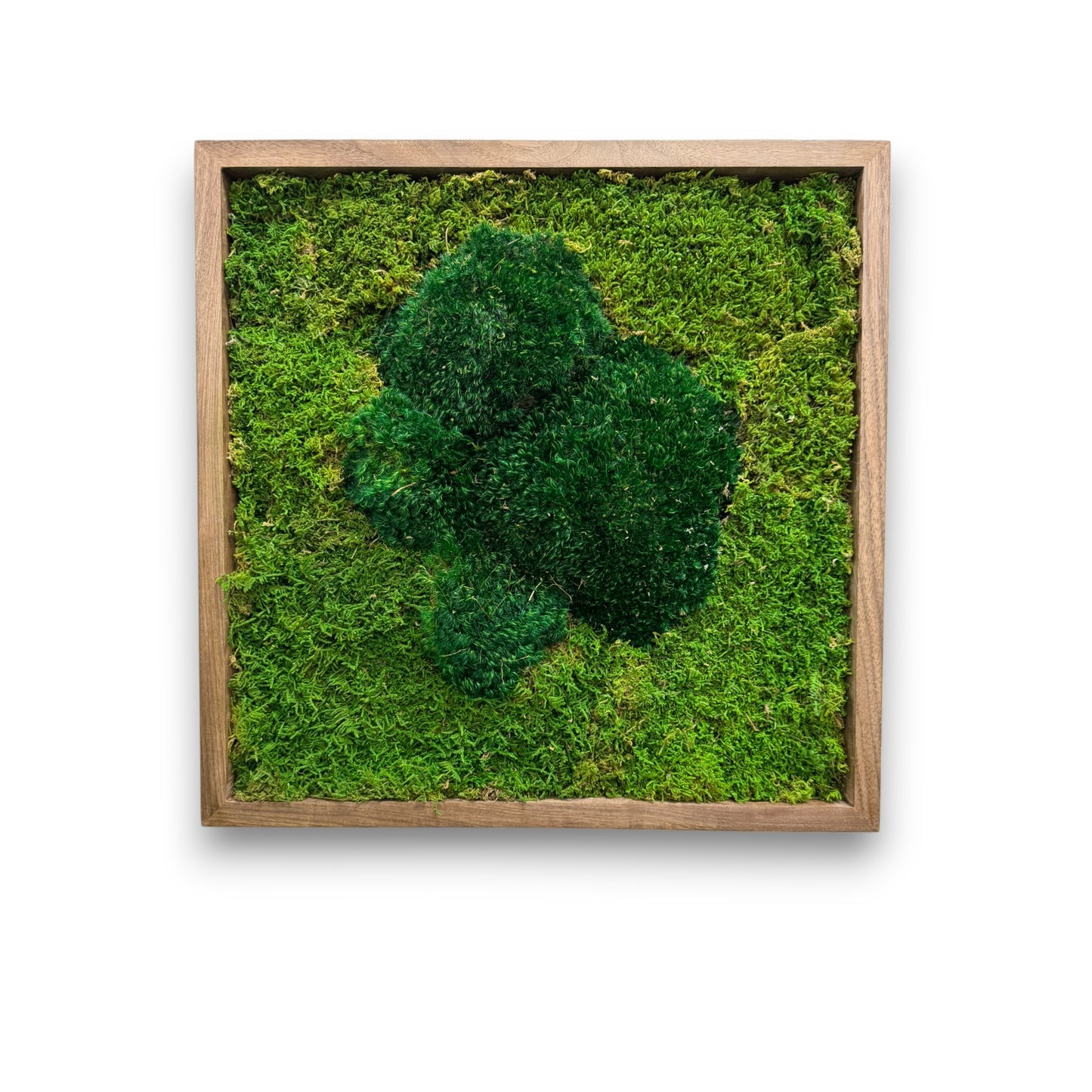 Moss Art Frame - Green Volcano