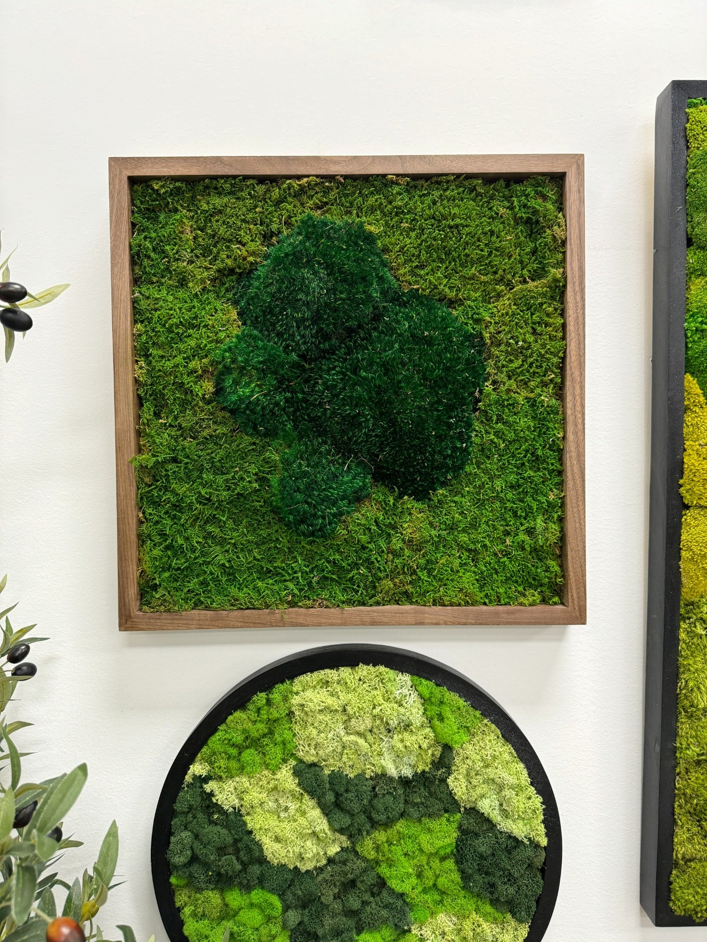 Moss Art Frame - Green Volcano