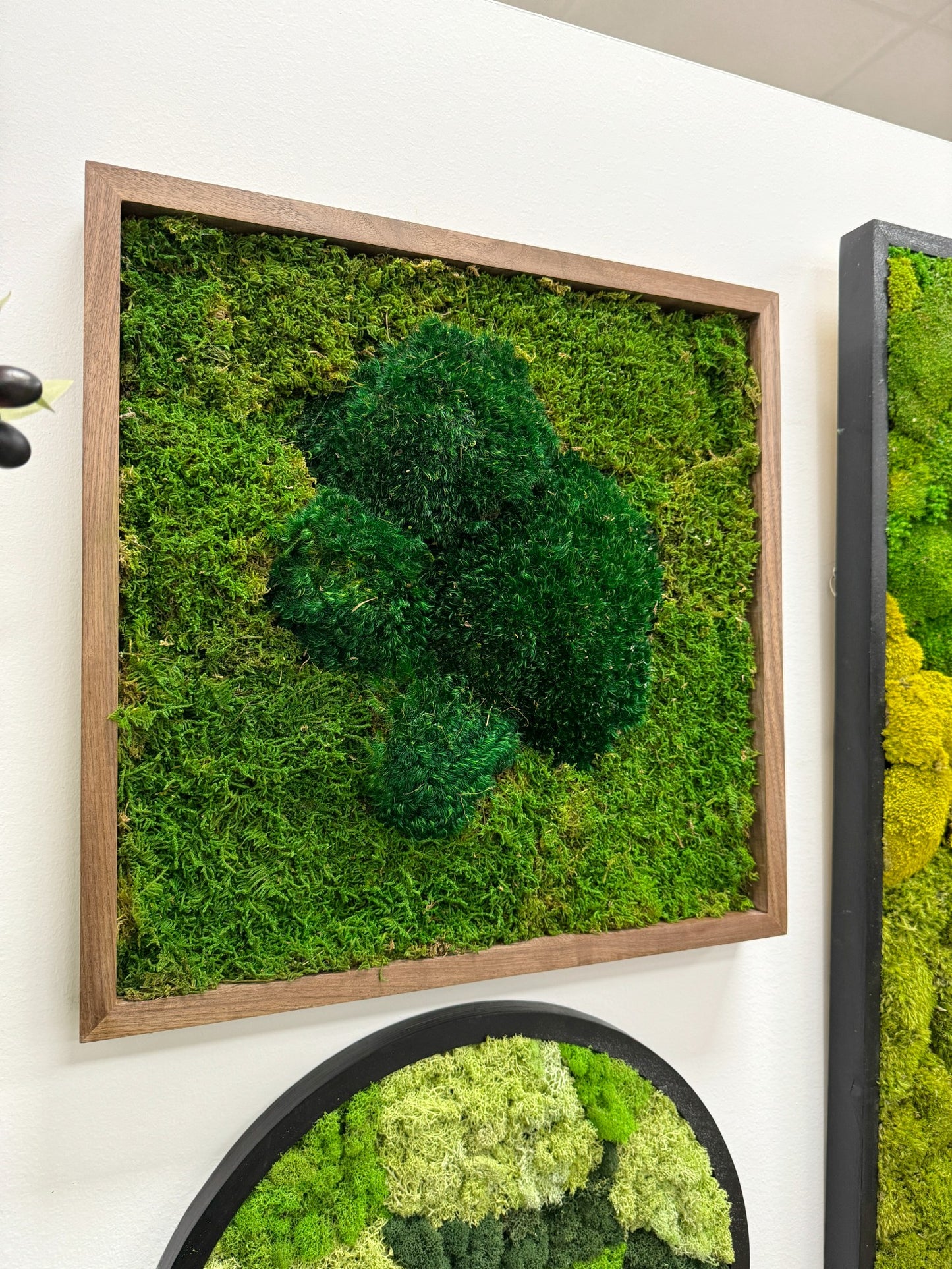 Moss Art Frame - Green Volcano