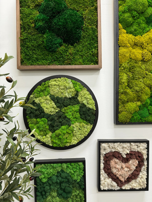 Circle Reindeer Moss Art Frame - Multicolor