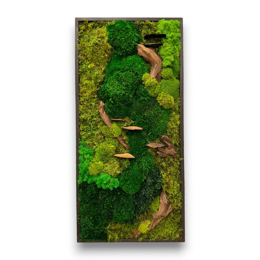 Moss Art Frame - Into the Woods