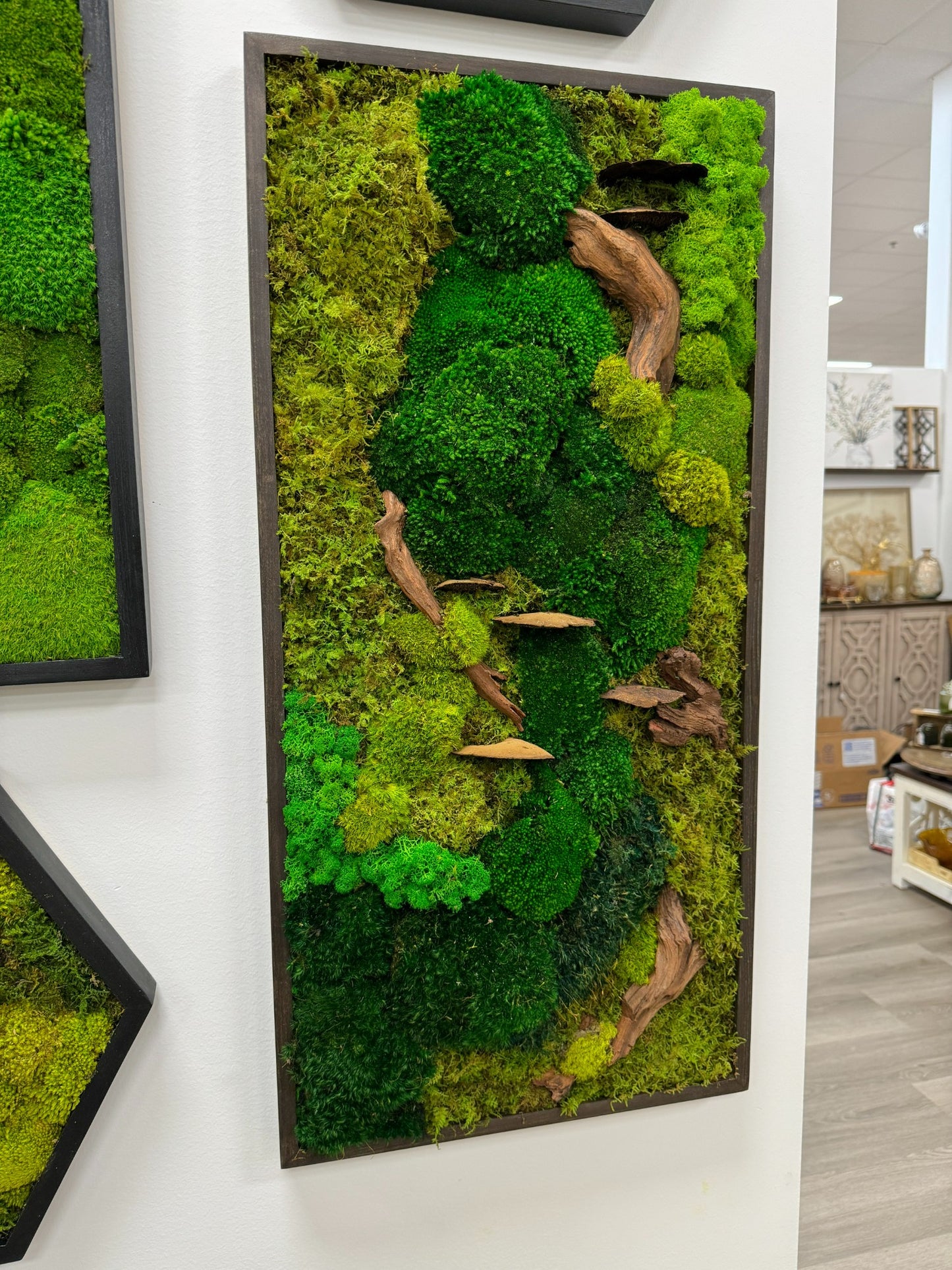 Moss Art Frame - Drifted Woods