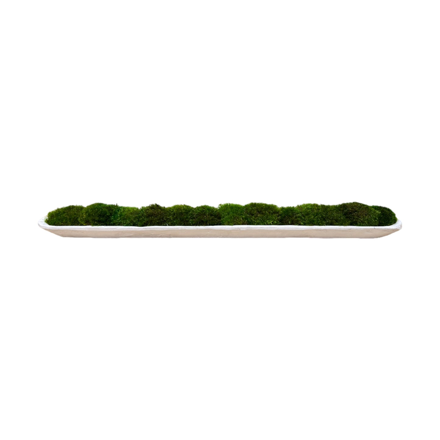 Reclaimed Dough Moss Bowl (Medium Green Mood Moss)