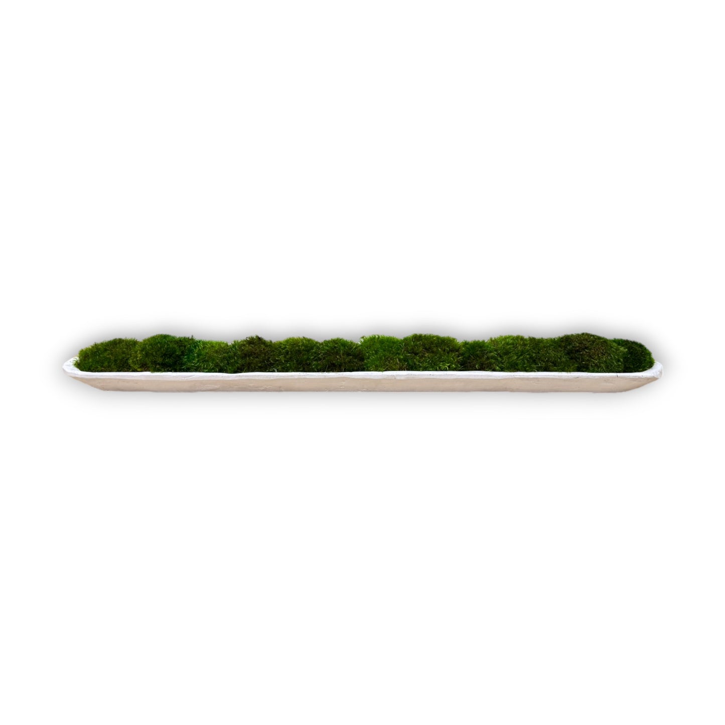 Reclaimed Dough Moss Bowl (Medium Green Mood Moss)