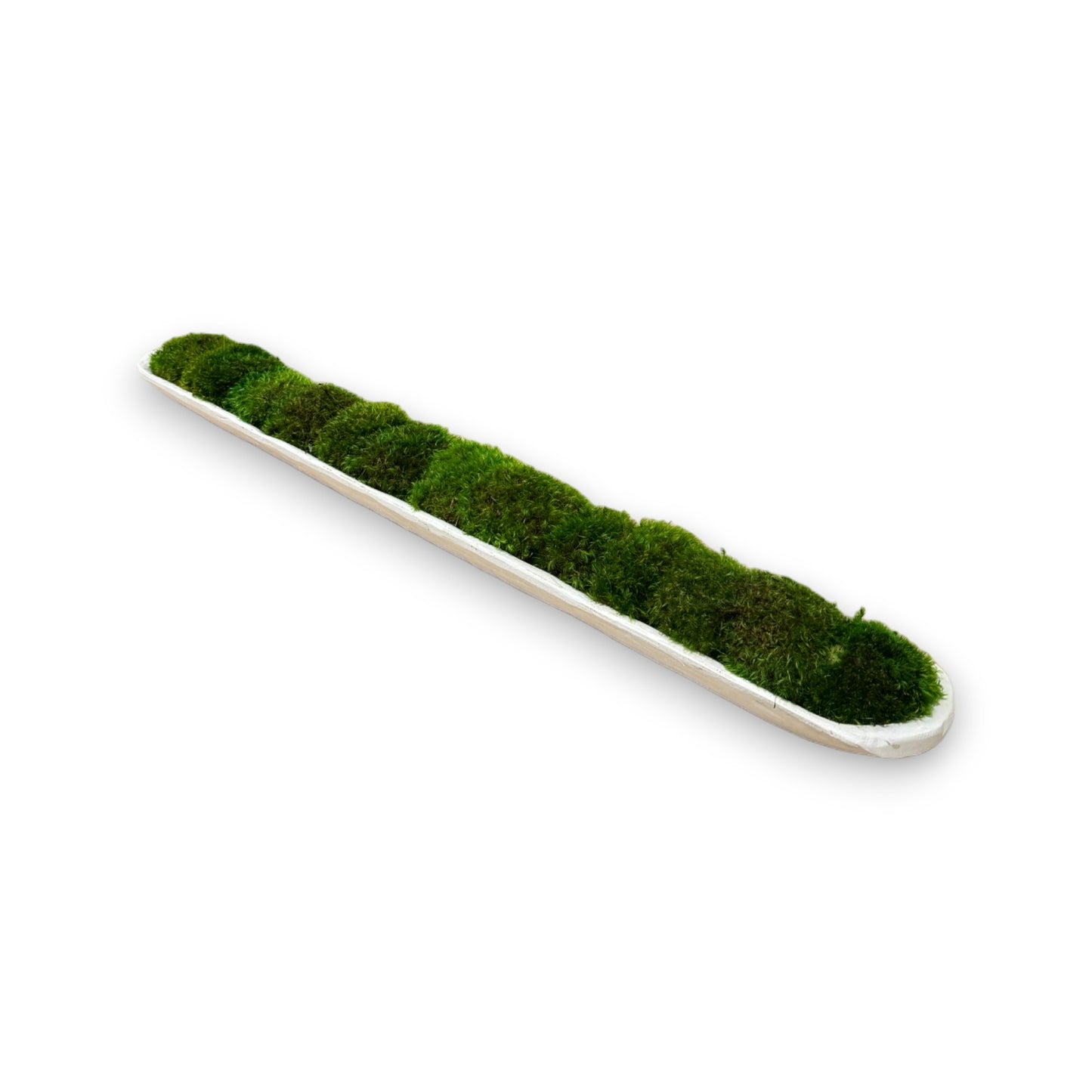 Reclaimed Dough Moss Bowl (Medium Green Mood Moss)