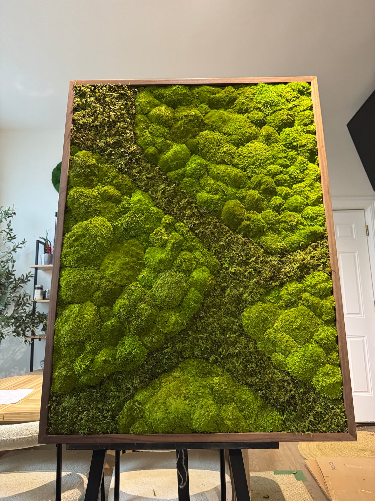 48x36" Aerial Forest Moss Art Frame: Ready to Ship