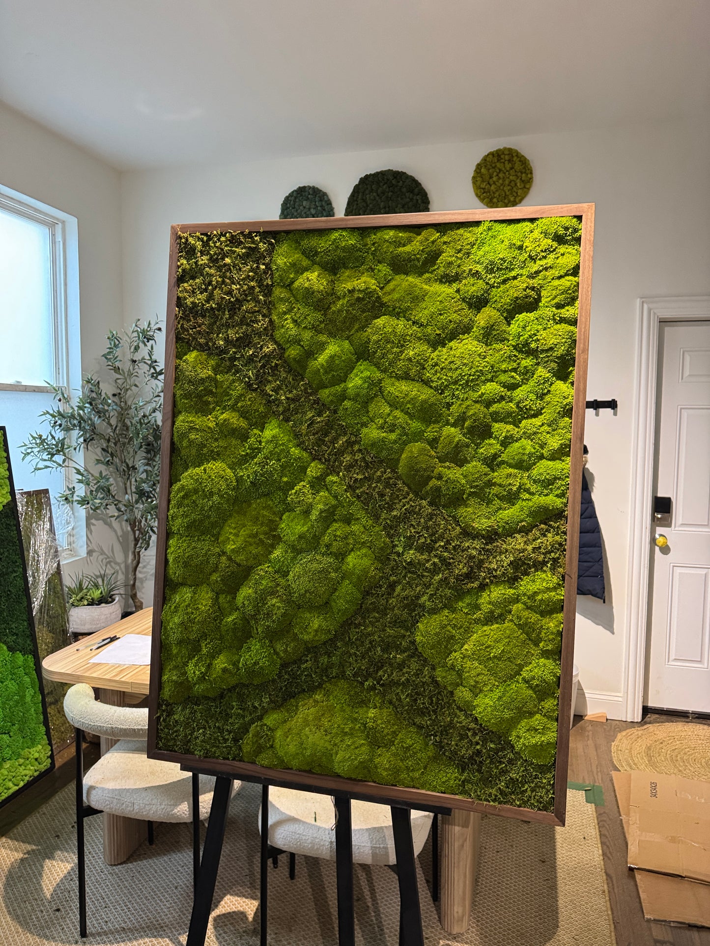 48x36" Aerial Forest Moss Art Frame: Ready to Ship