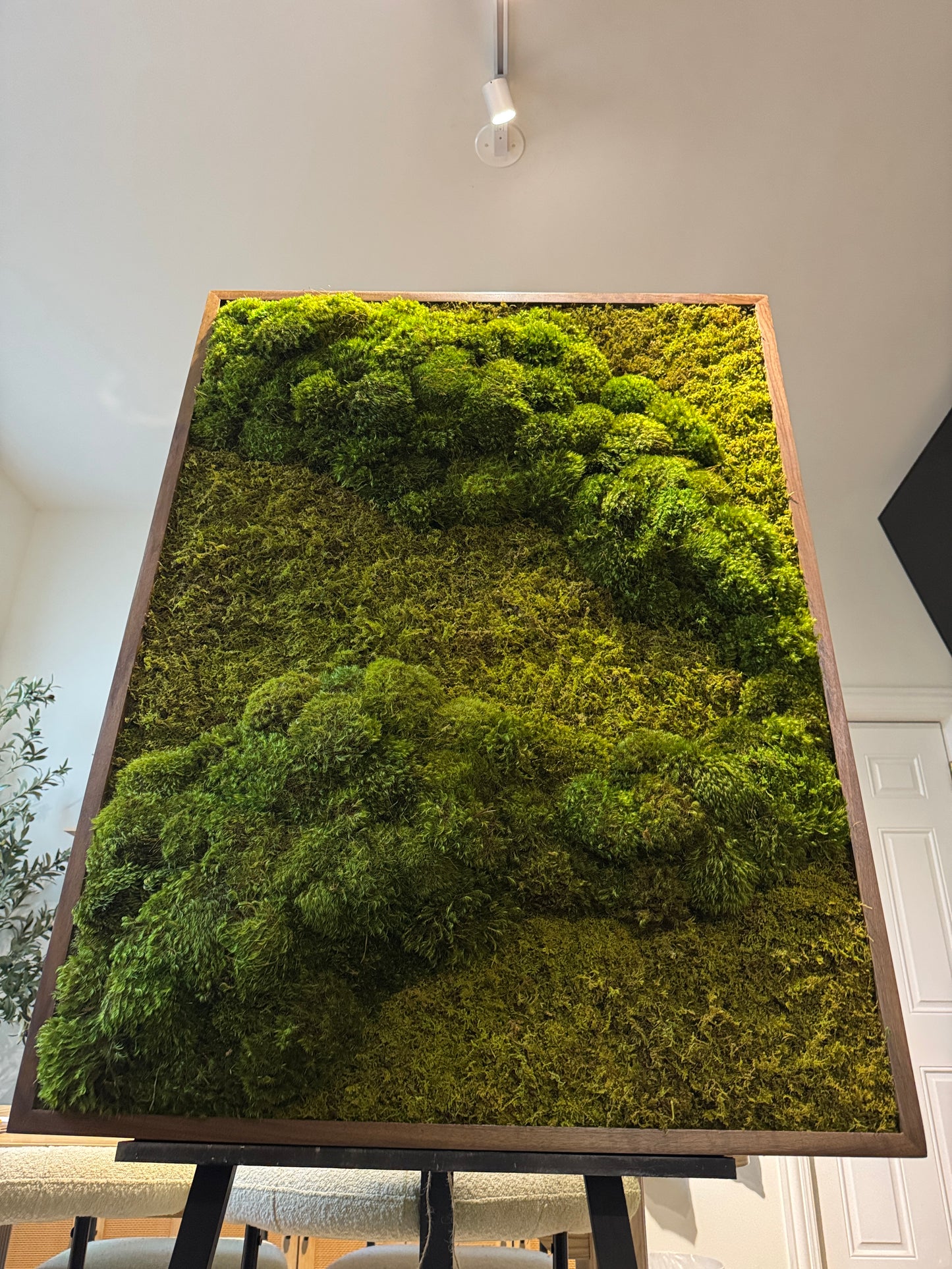 48x36" Subtle Neutral Moss Art Frame: Ready to Ship