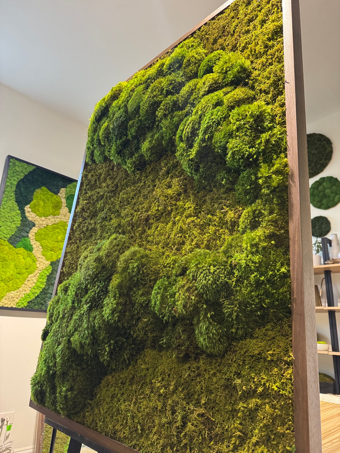 48x36" Subtle Neutral Moss Art Frame: Ready to Ship