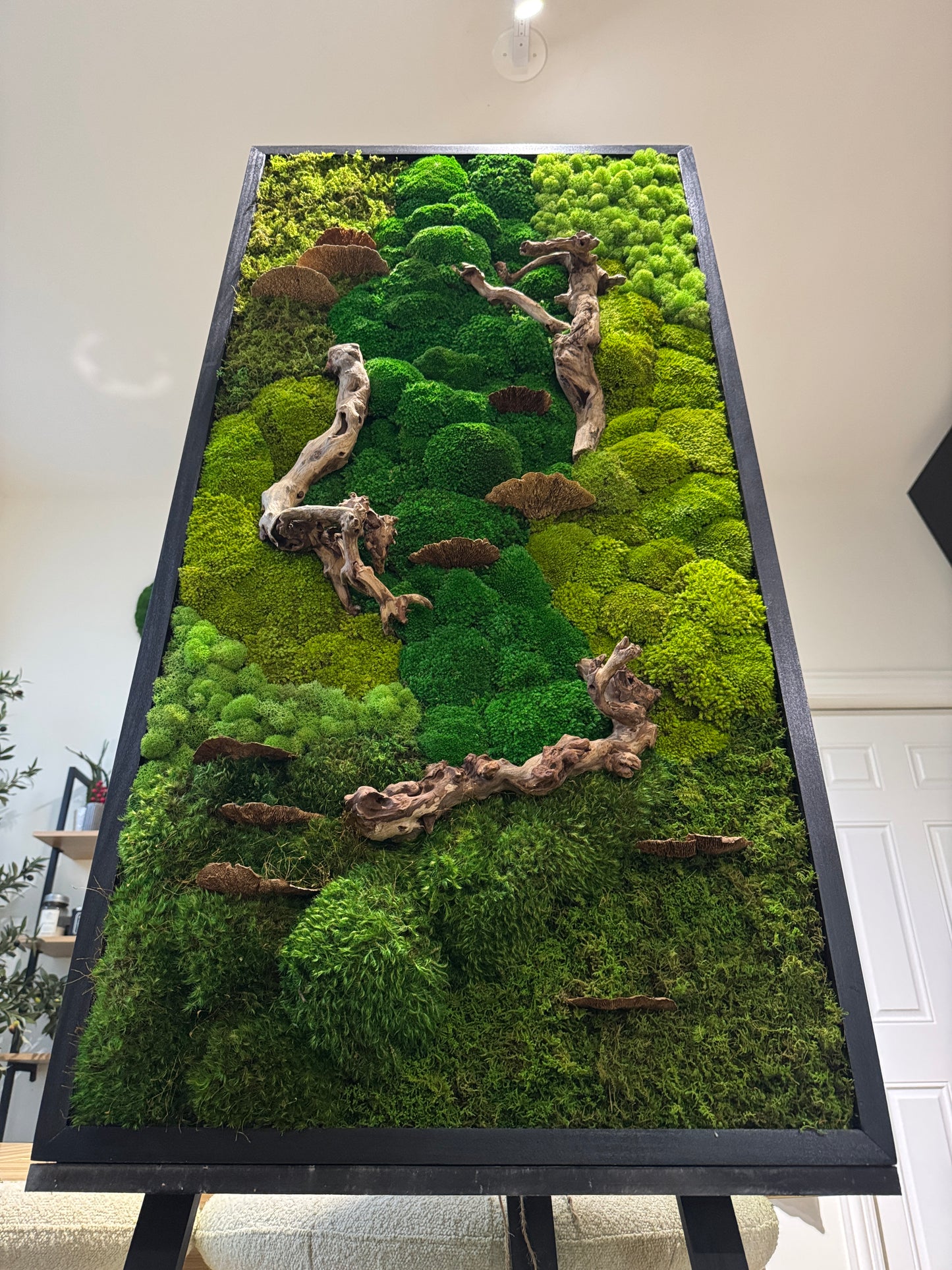 48x24" Drifted Woods Moss Art Frame: Ready to Ship