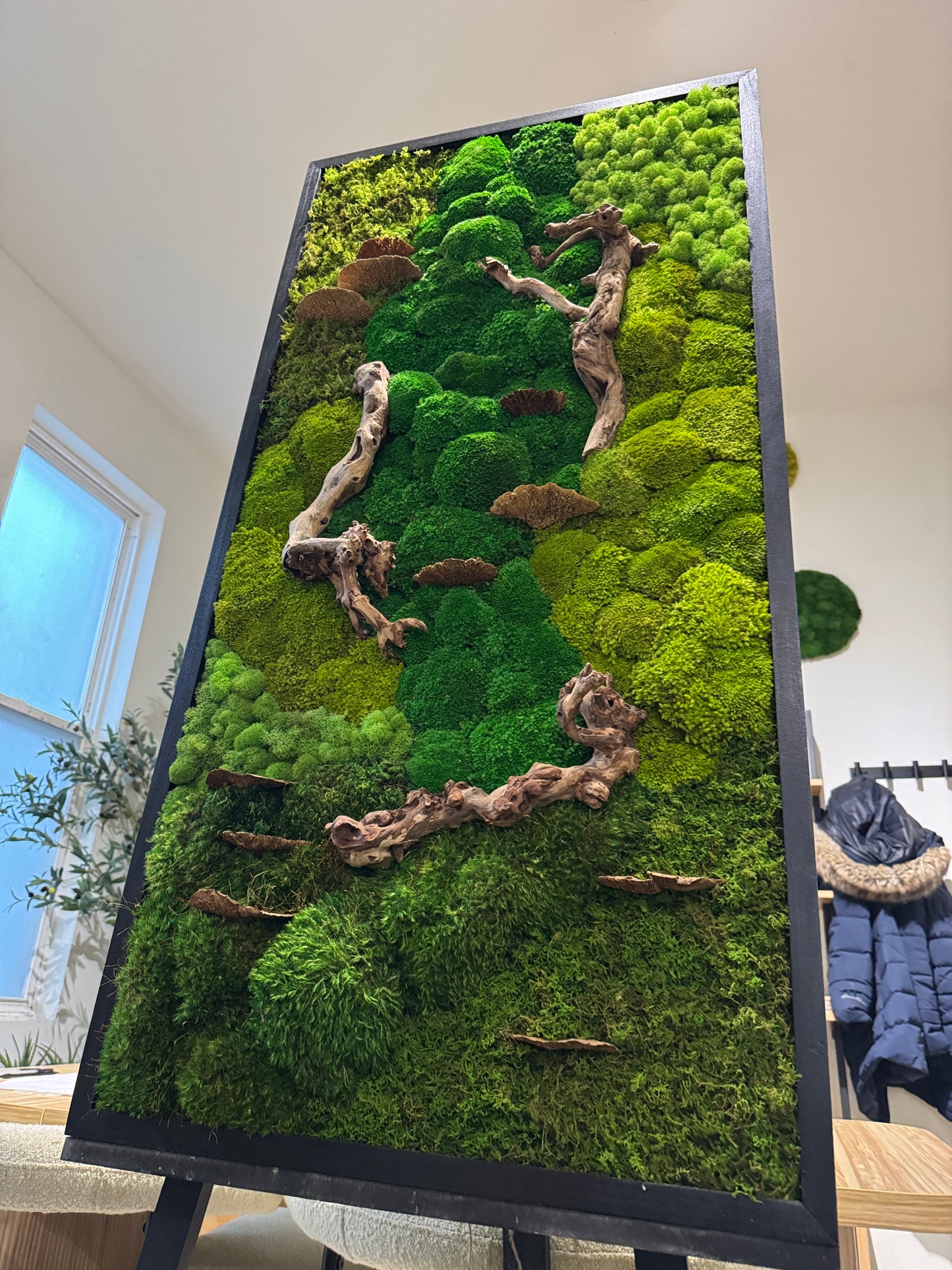 48x24" Drifted Woods Moss Art Frame: Ready to Ship