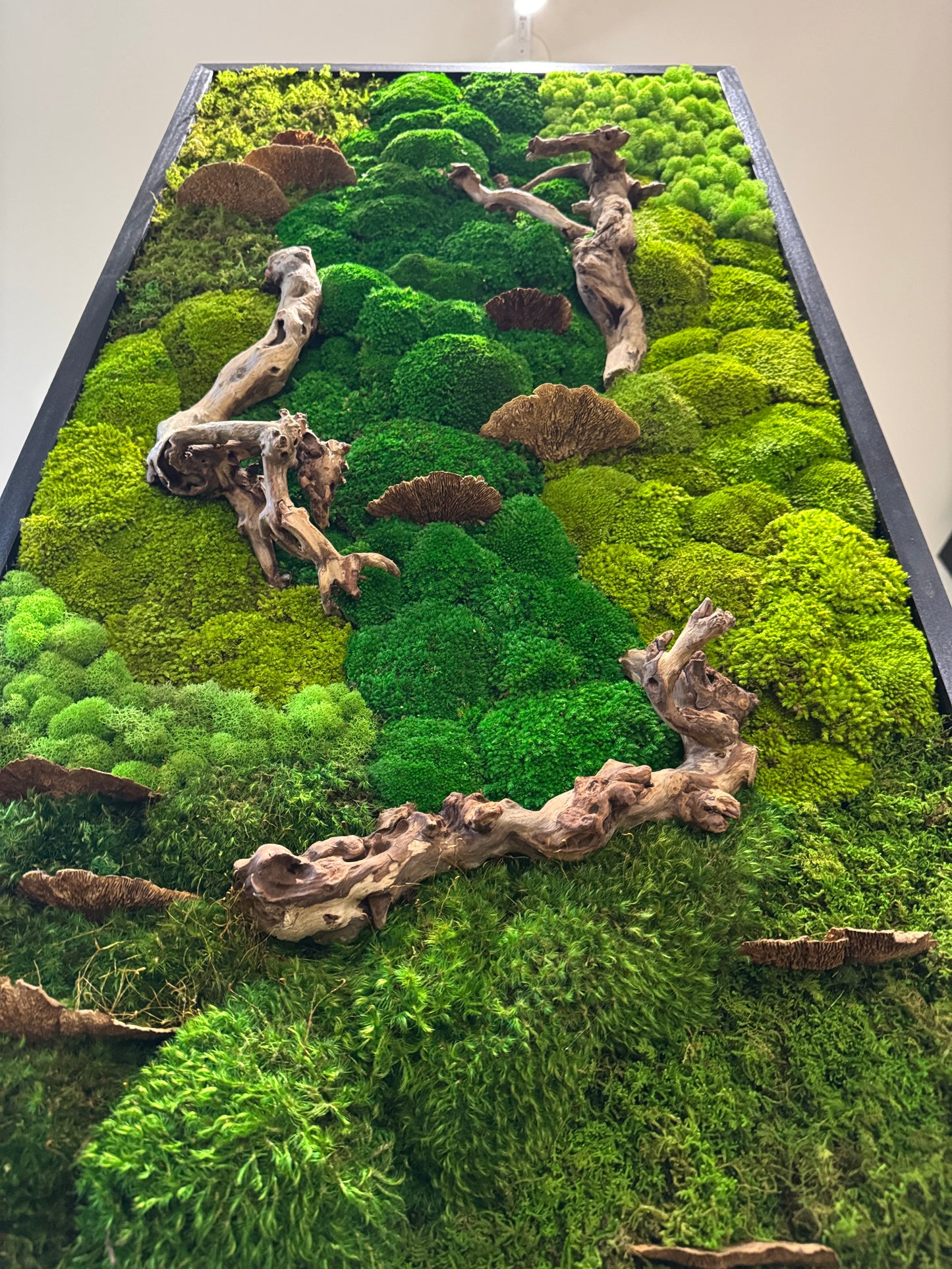 48x24" Drifted Woods Moss Art Frame: Ready to Ship