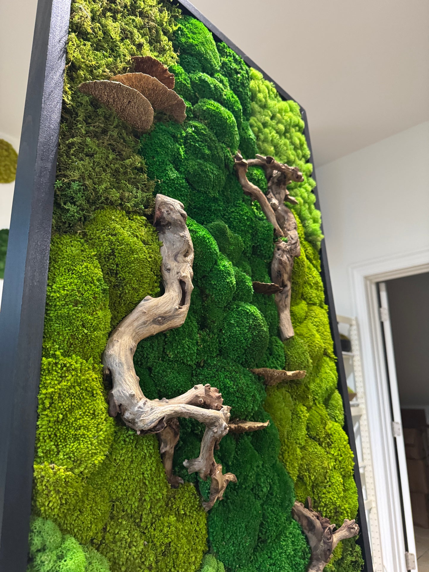 48x24" Drifted Woods Moss Art Frame: Ready to Ship