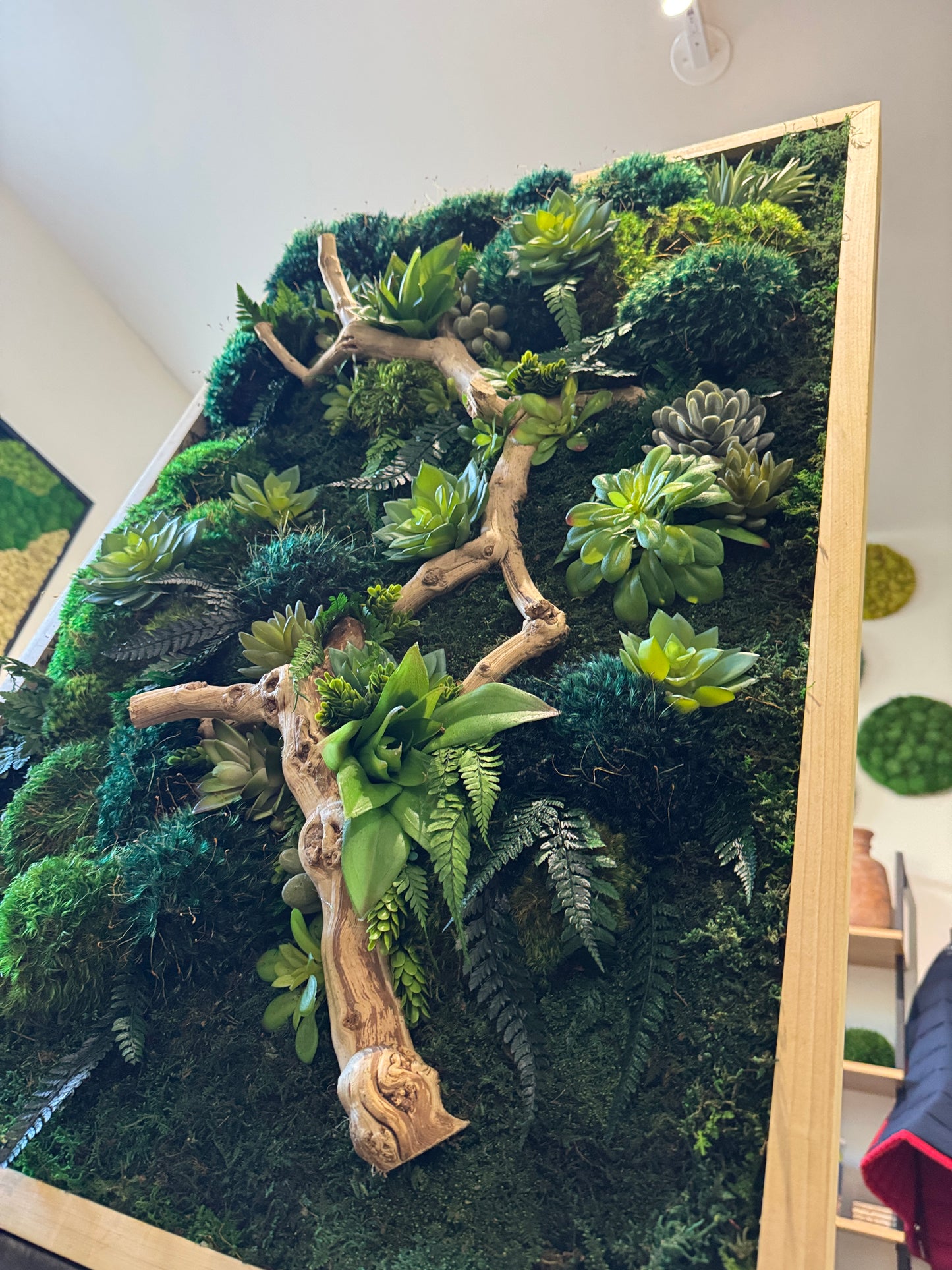 Ready to Ship: 36x24 Desert Refresh Moss Art Frame