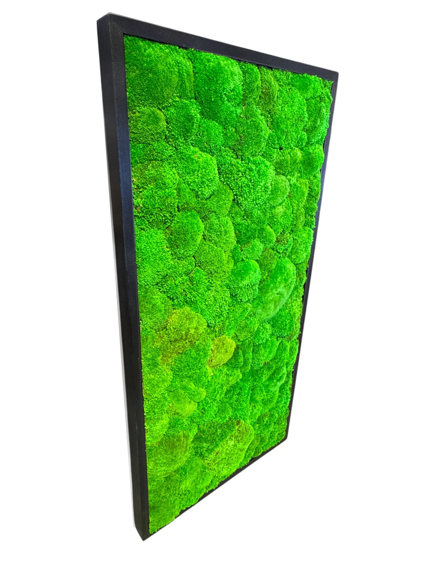 The Minimalist Rectagon Moss Art Frame