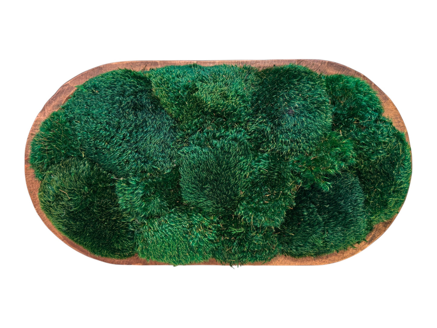 Grand Dough Moss Bowl 20 x 12 x 6" (XL)