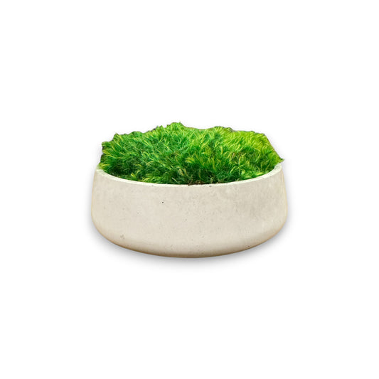 Concrete Moss Bowl 7.5" (Light Fluffy Moss)