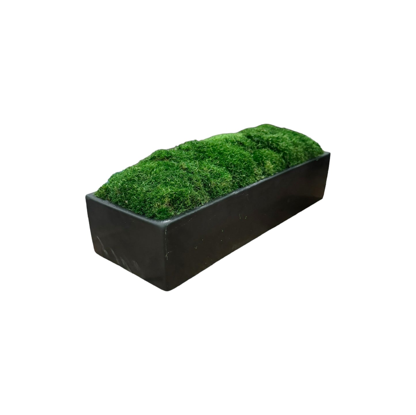 Wide Topiary Moss Bowl (Dark Moss)