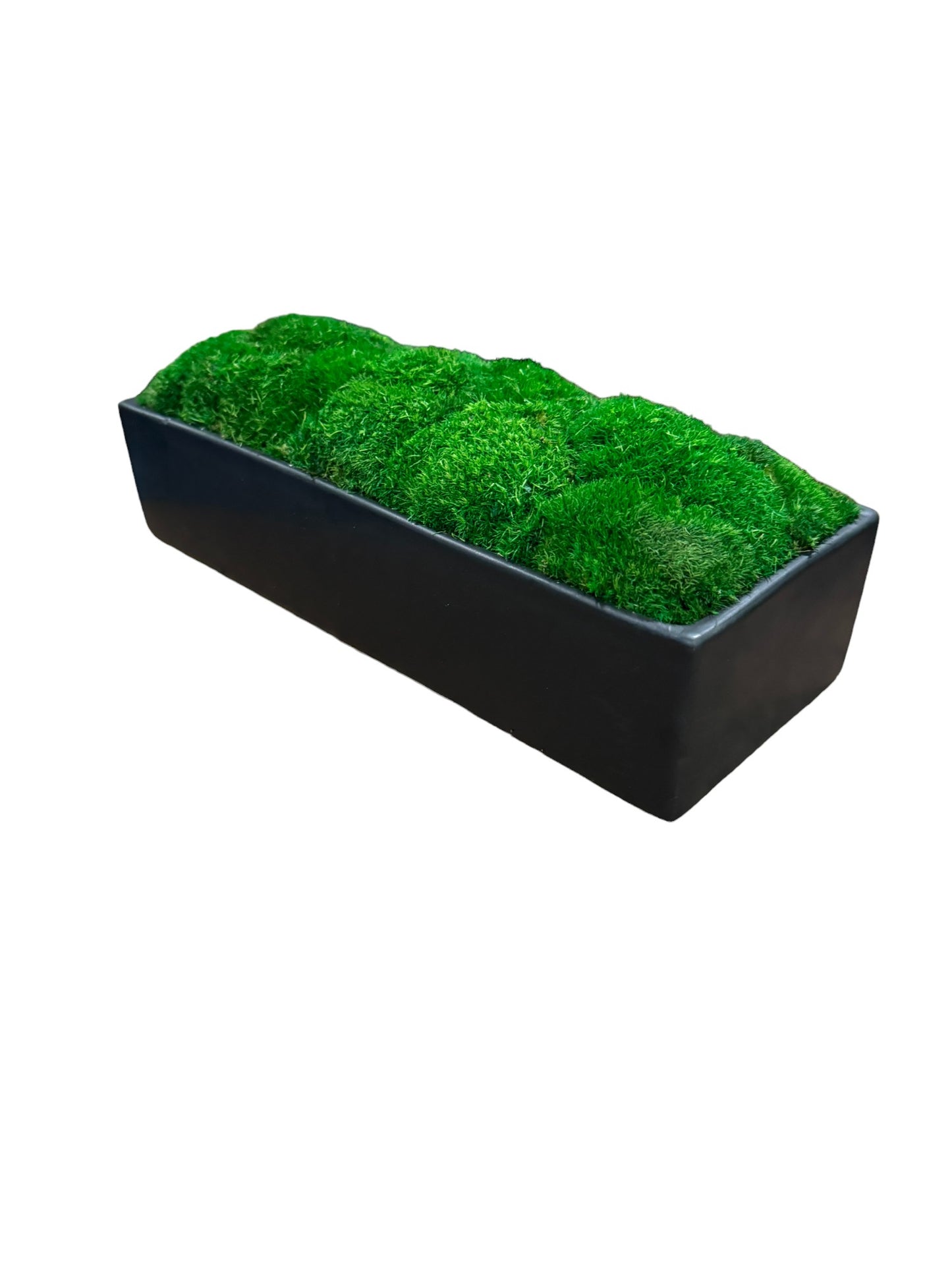 Wide Topiary Moss Bowl (Dark Moss)