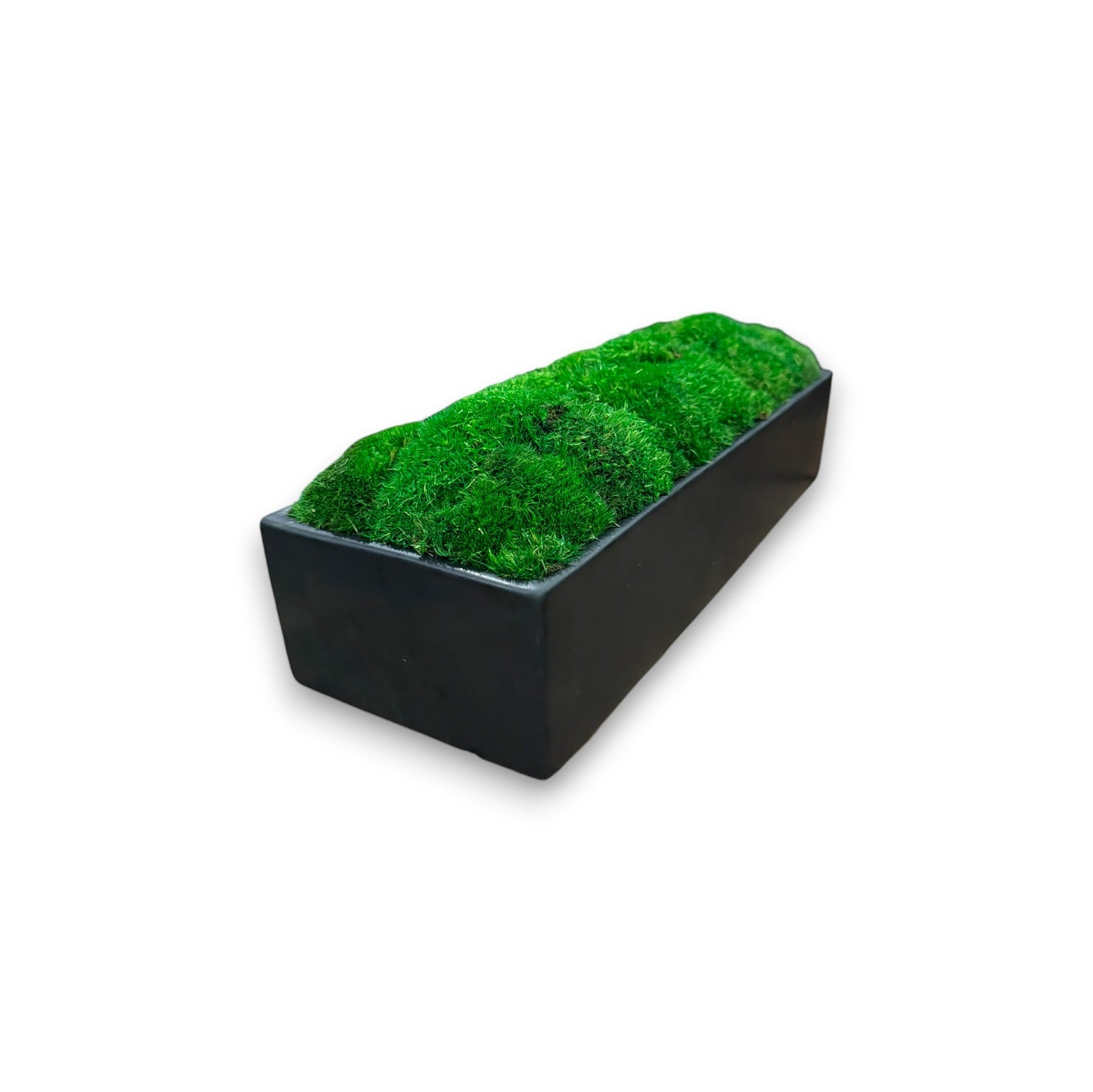 Wide Topiary Moss Bowl (Dark Moss)