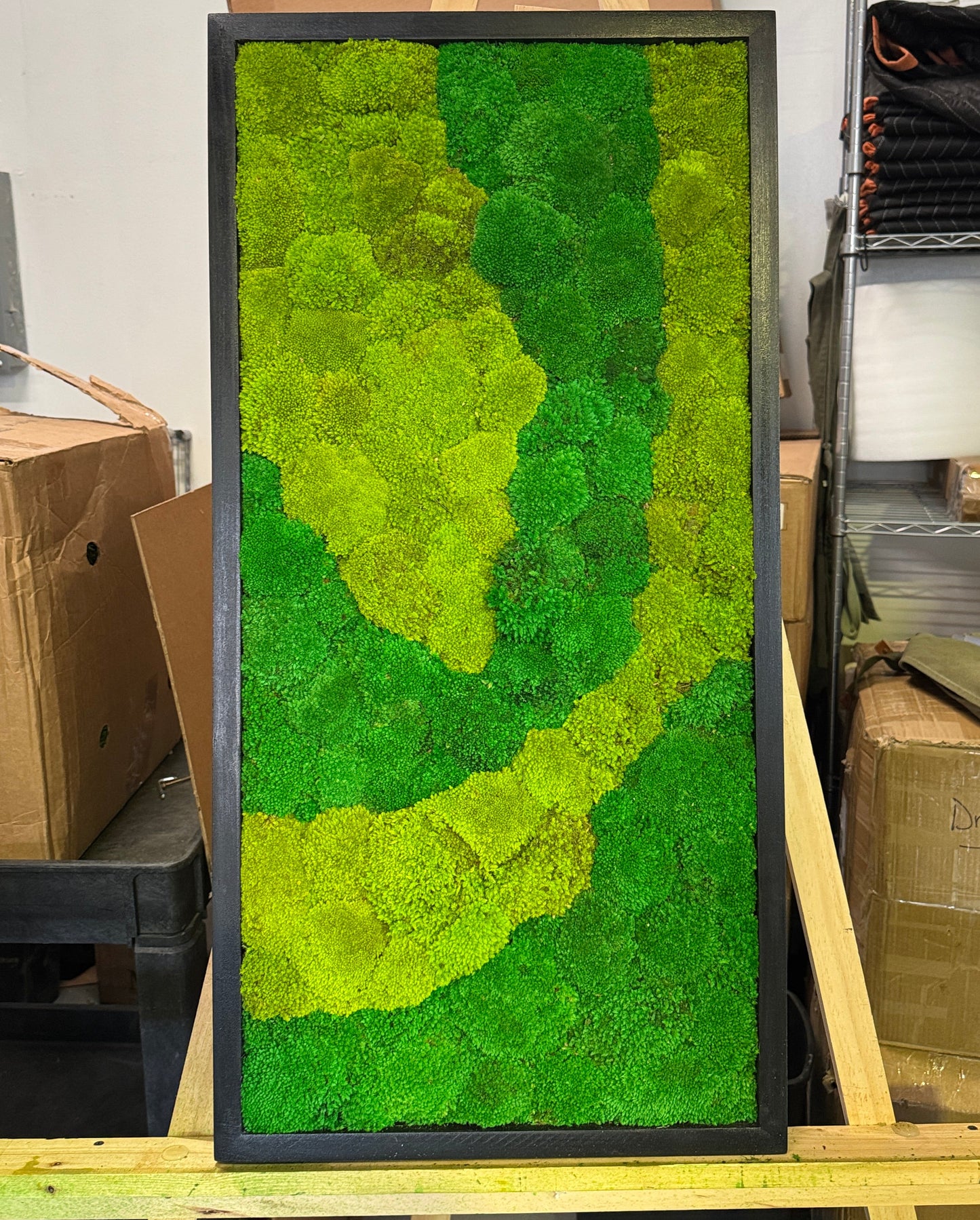 Abstract Moss Art Frame (One Piece)