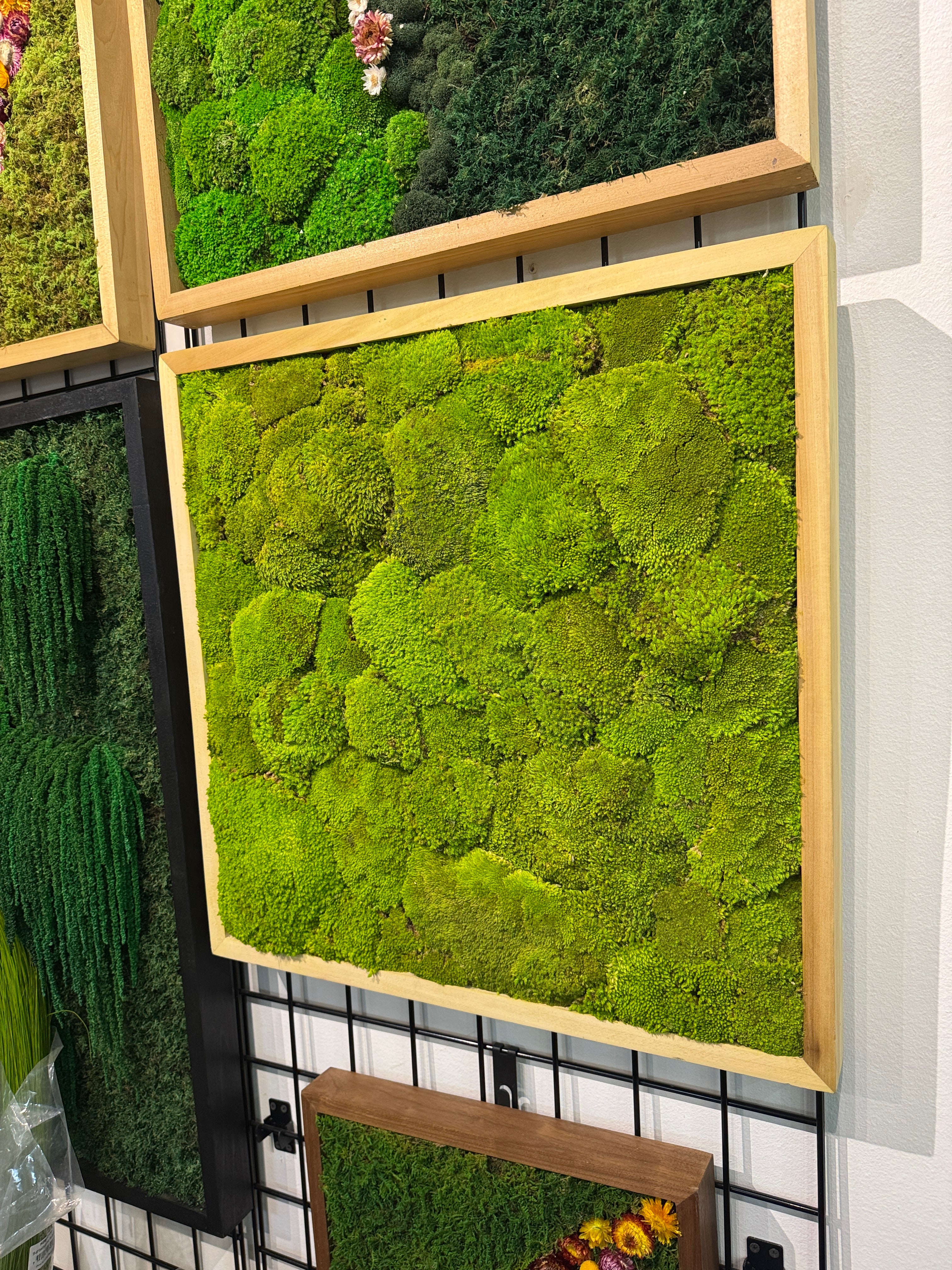 Ready to Ship: 24x24