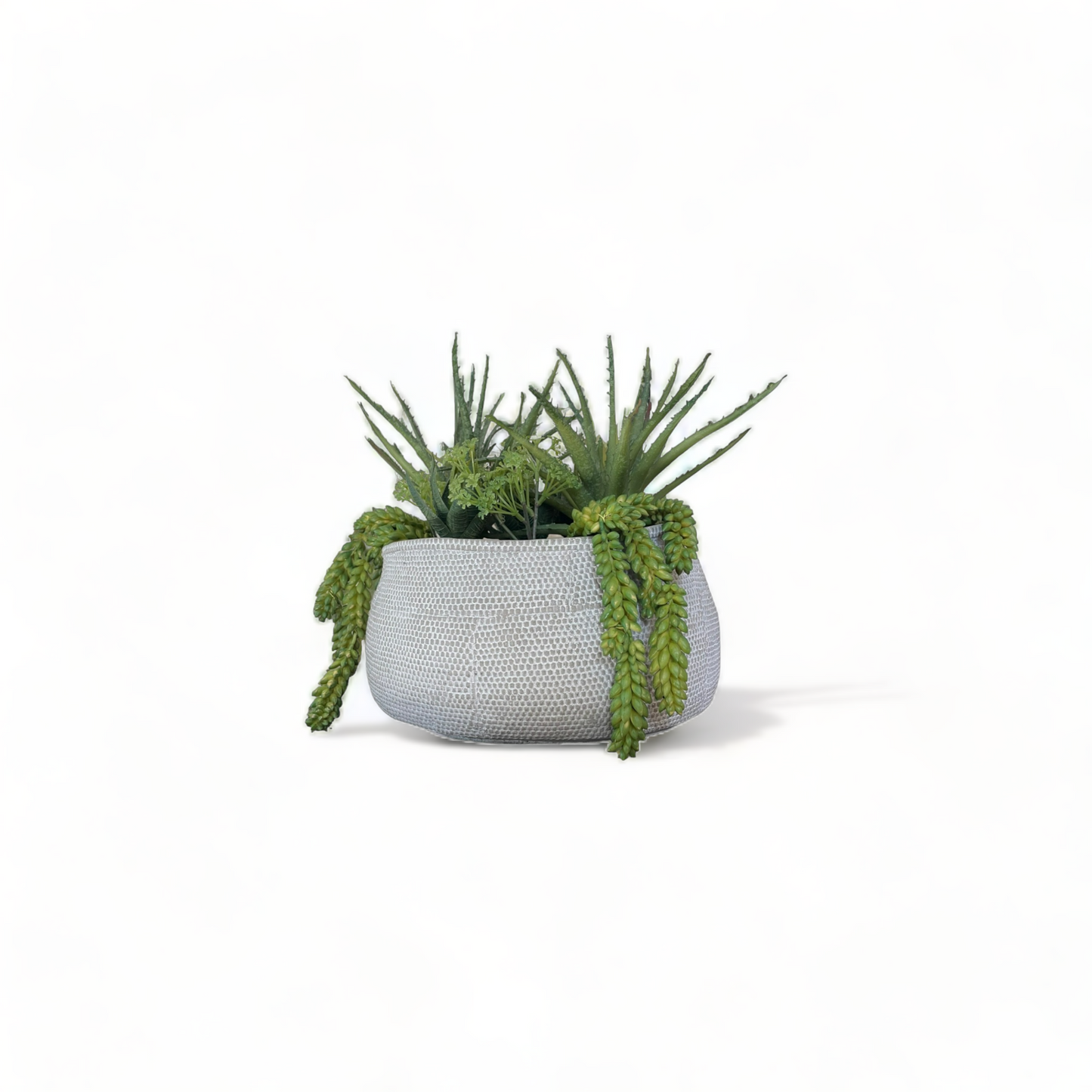 succulent arrangement planter pot, large