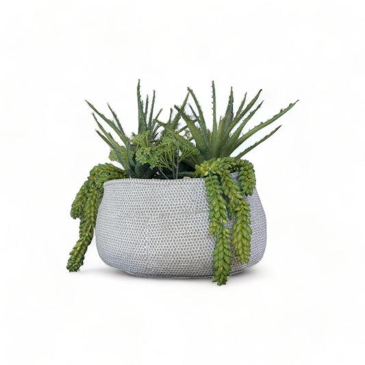 succulent arrangement planter pot, large