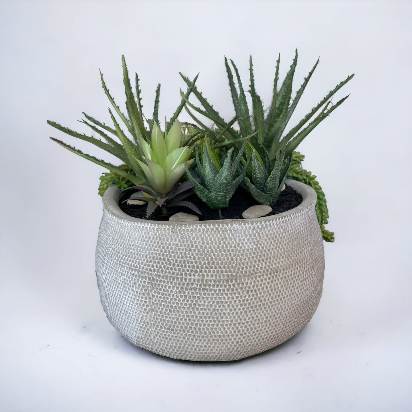 succulent arrangement planter pot, large