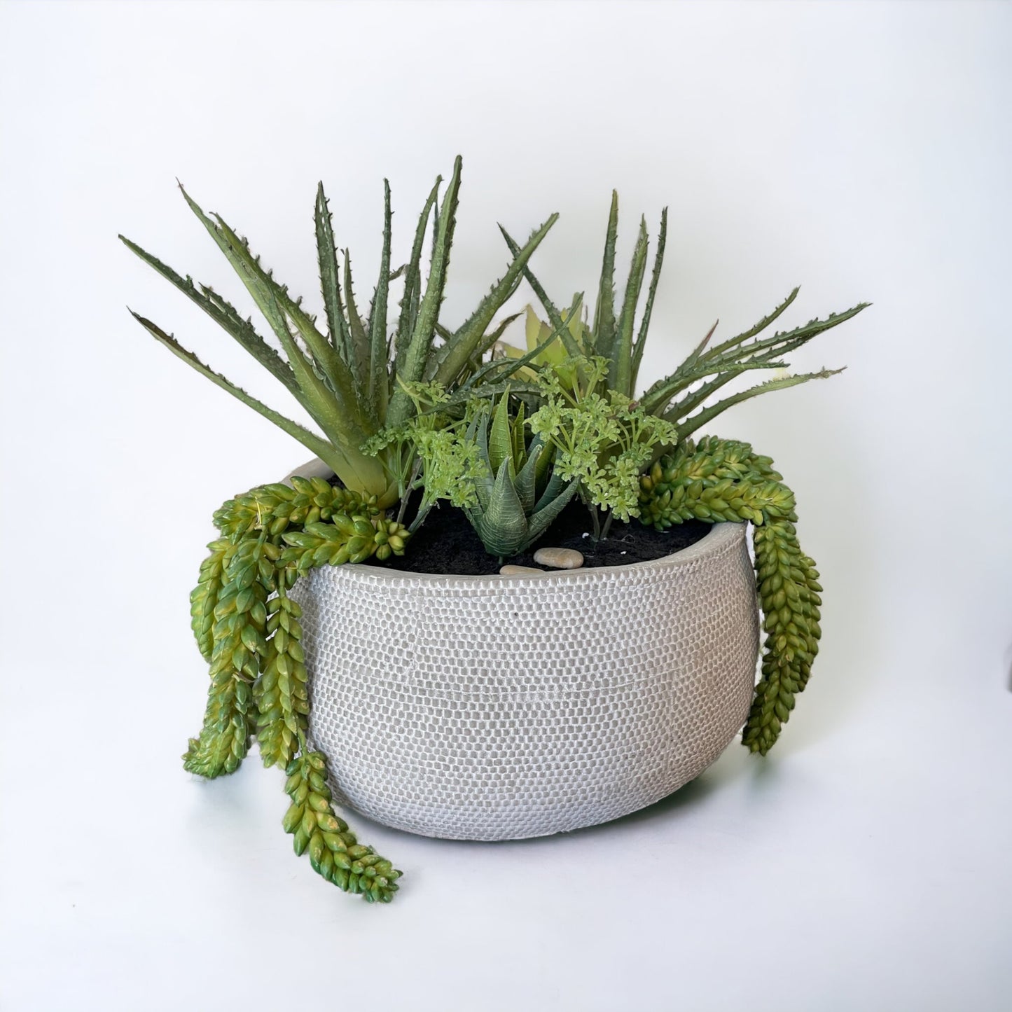 succulent arrangement planter pot, large