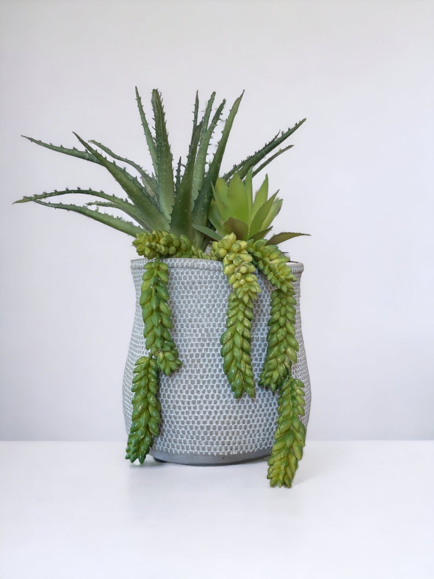 Succulent Arrangement Planter Pot, Medium