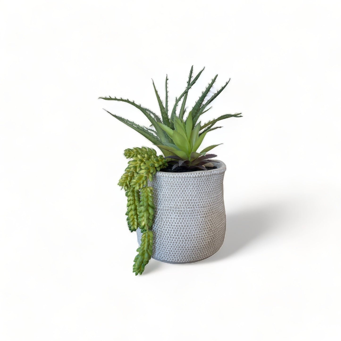 Succulent Arrangement Planter Pot, Medium