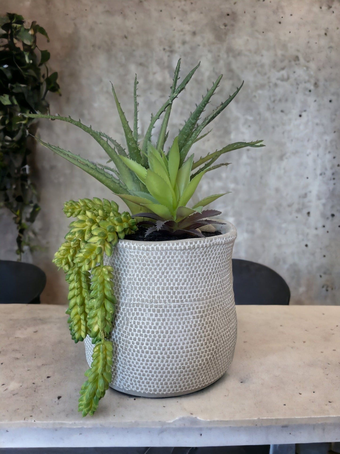 Succulent Arrangement Planter Pot, Medium