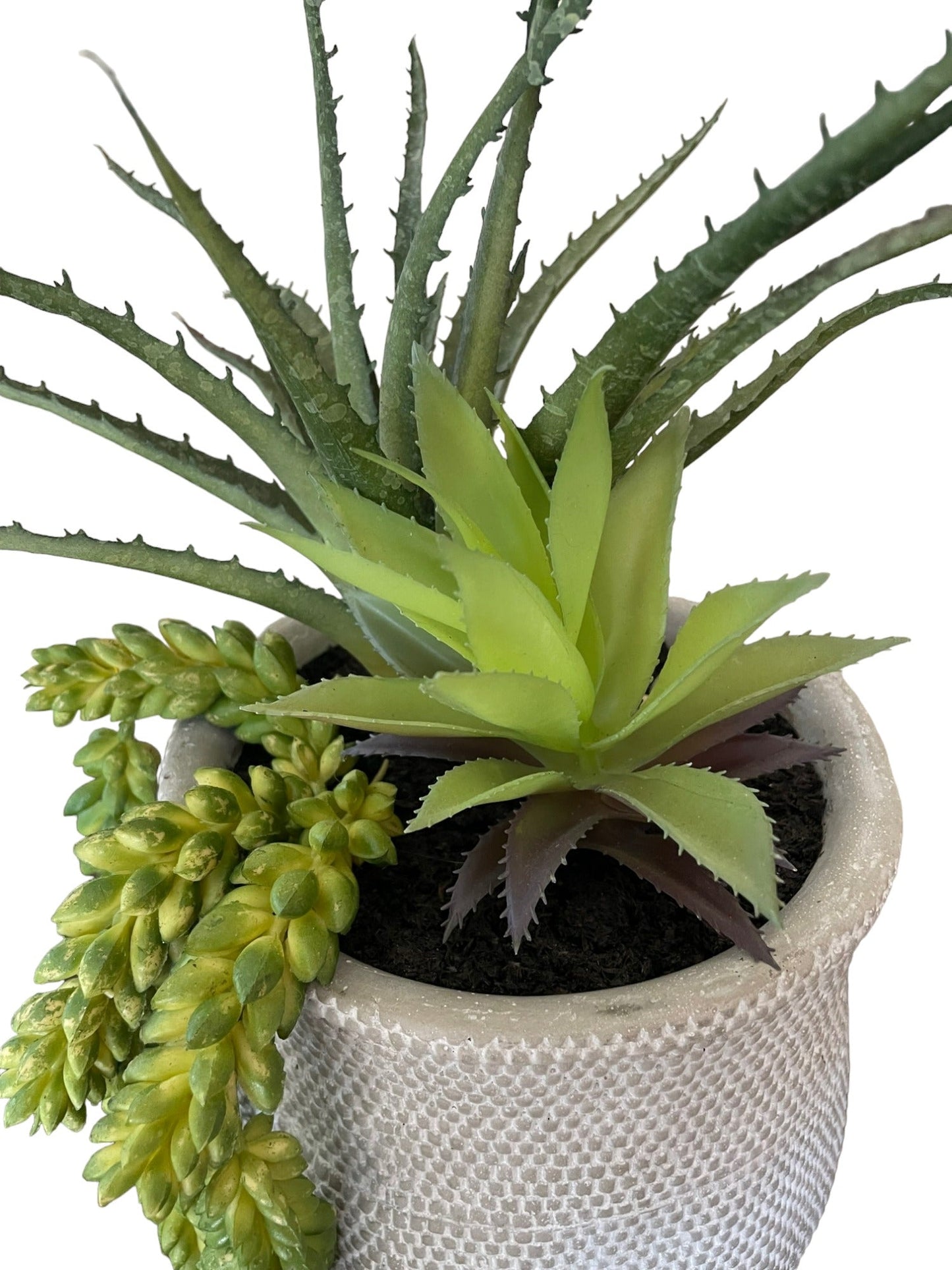 Succulent Arrangement Planter Pot, Medium