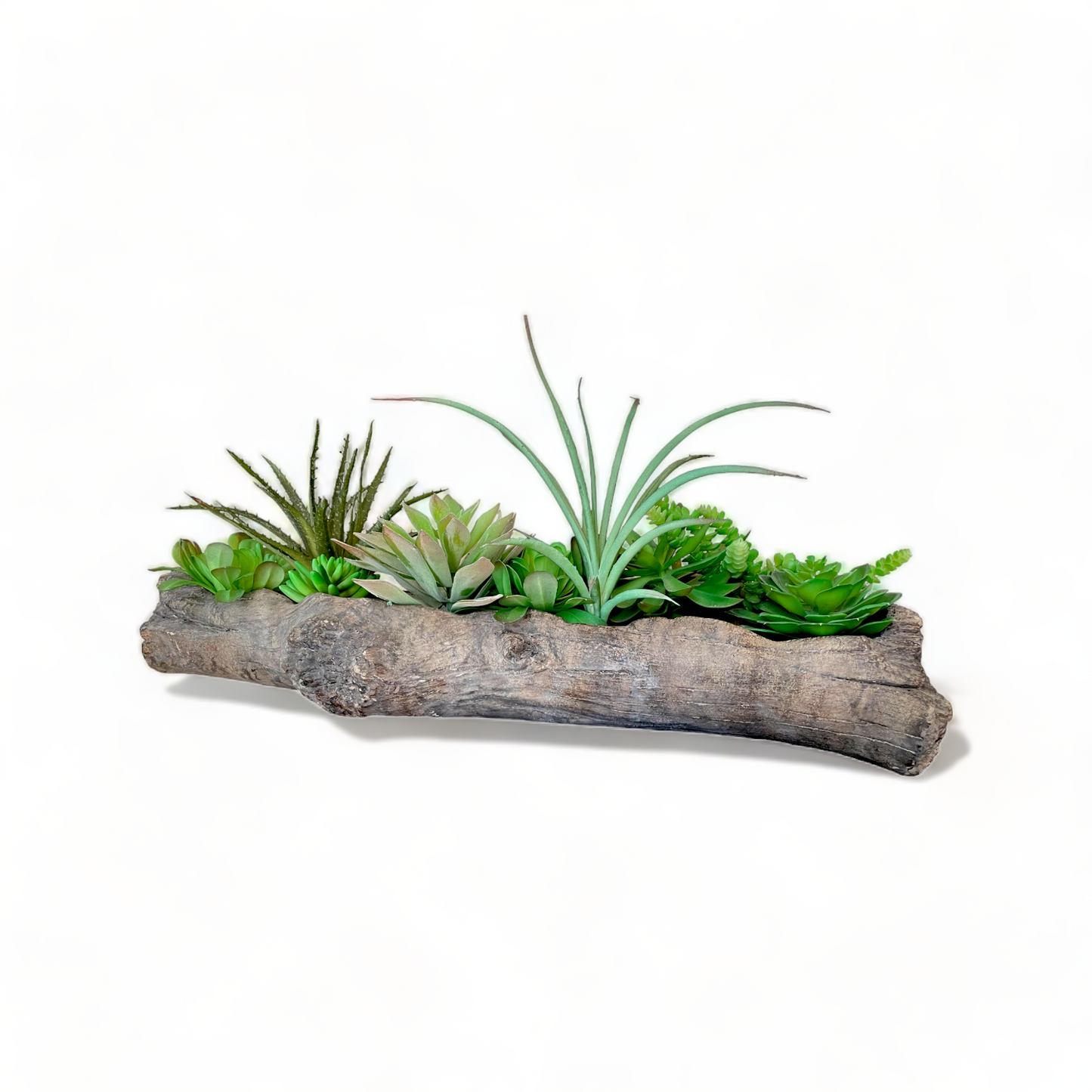 Succulent Arrangement Driftwood Planter, Extra Large