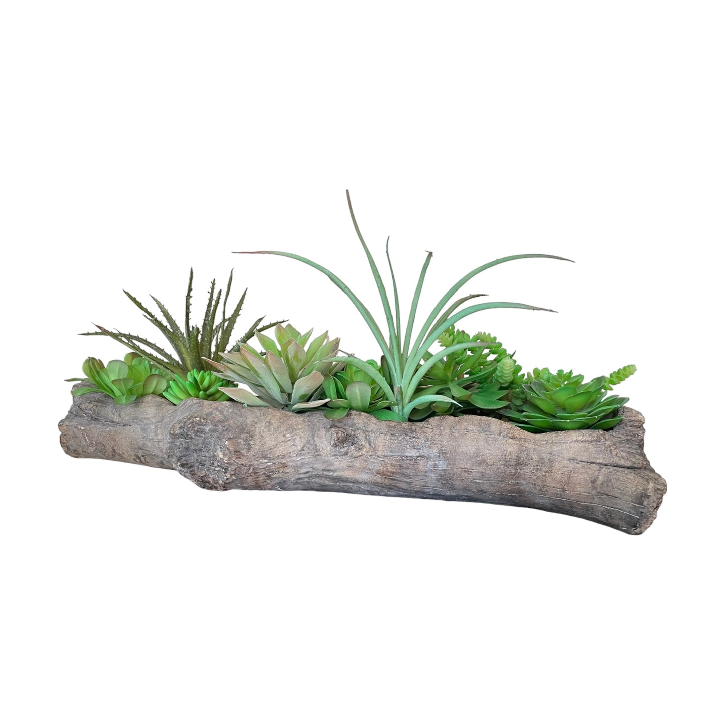 Succulent Arrangement Driftwood Planter, Extra Large