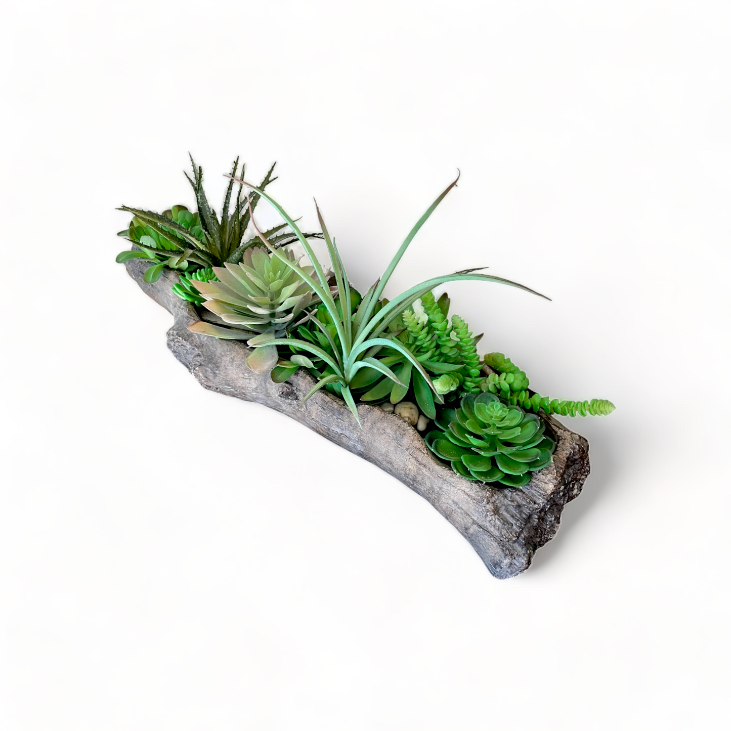 Succulent Arrangement Driftwood Planter, Extra Large