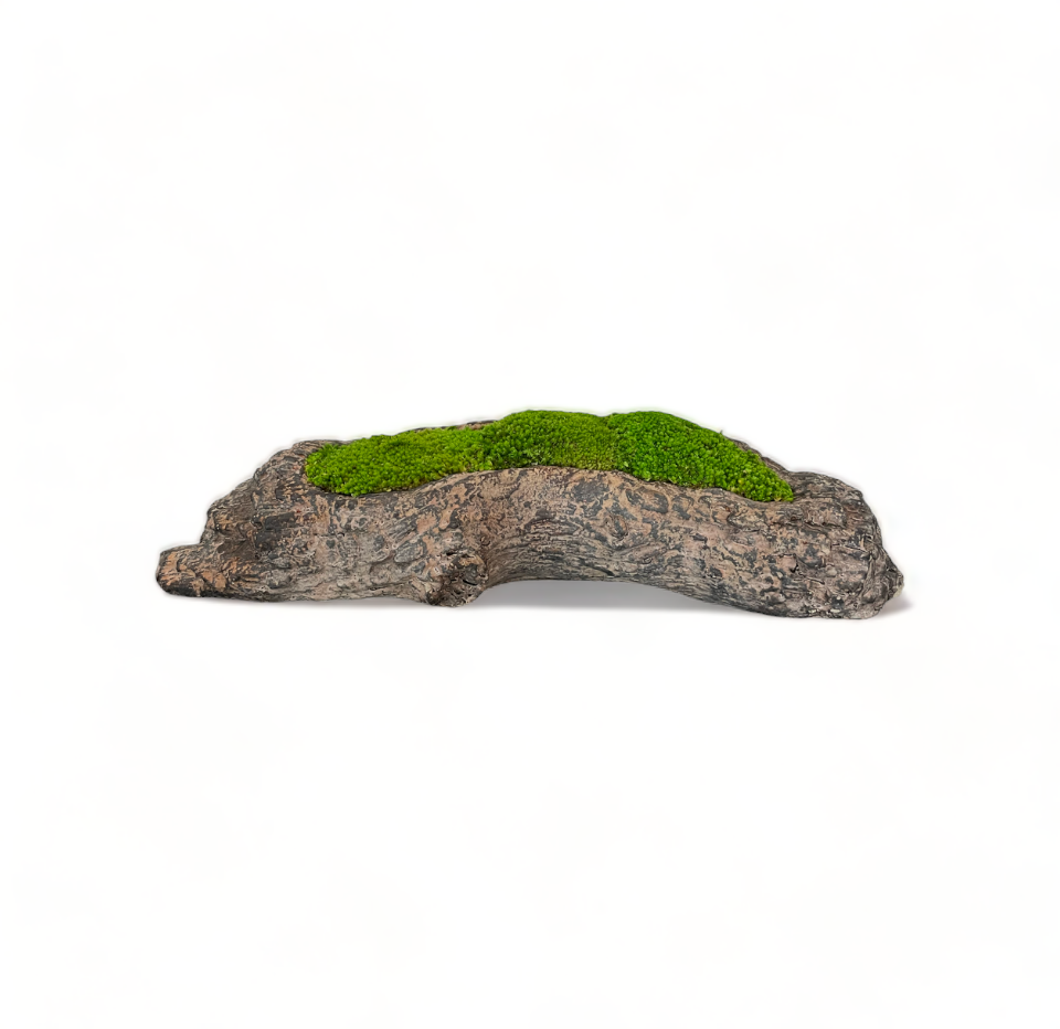 Driftwood Planter Moss Bowl