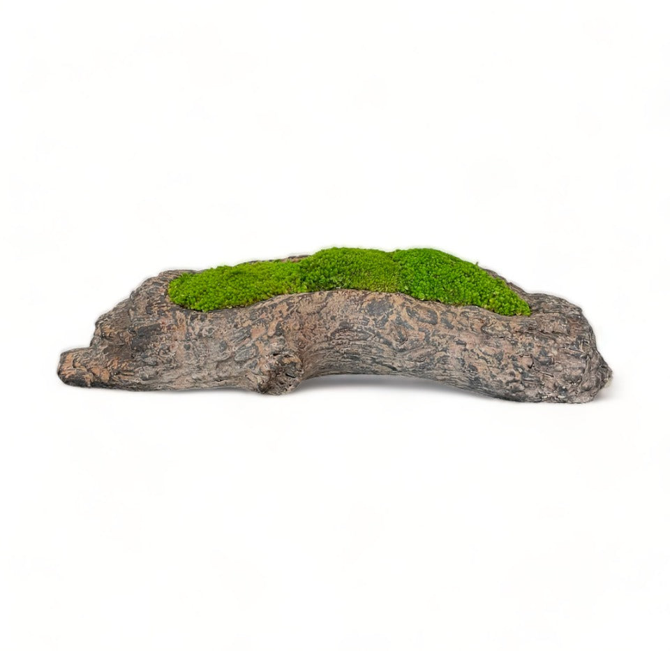 Driftwood Planter Moss Bowl