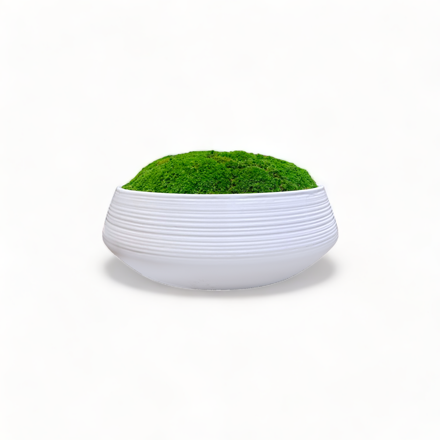 Oversized White Moss Bowl