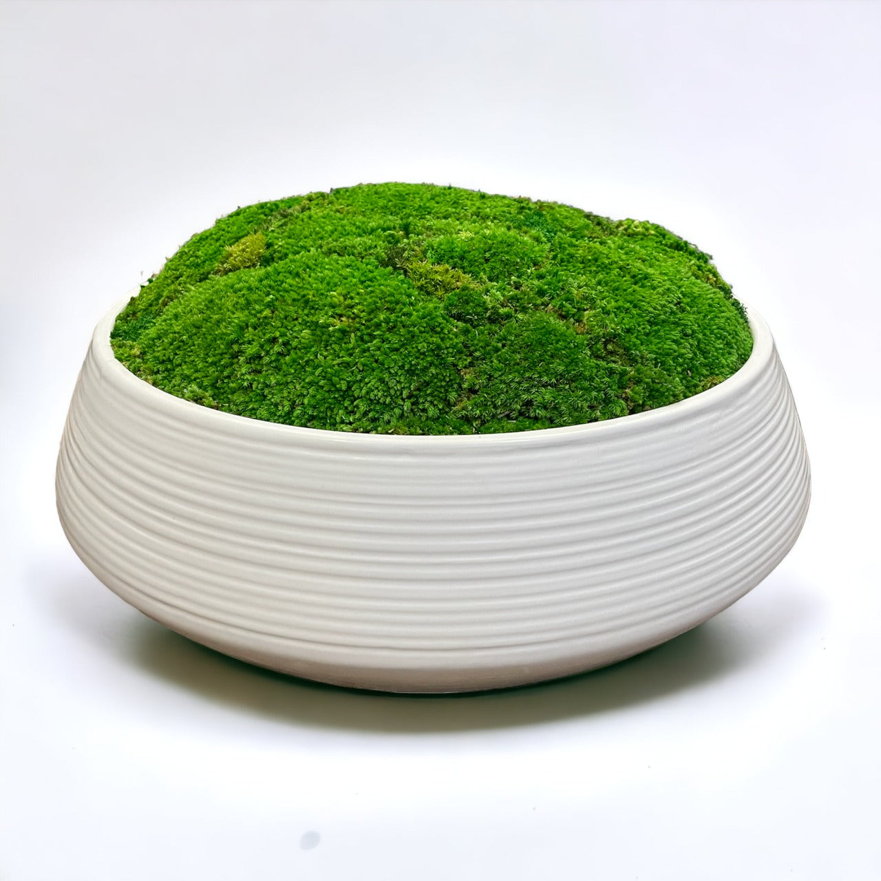 Oversized White Moss Bowl