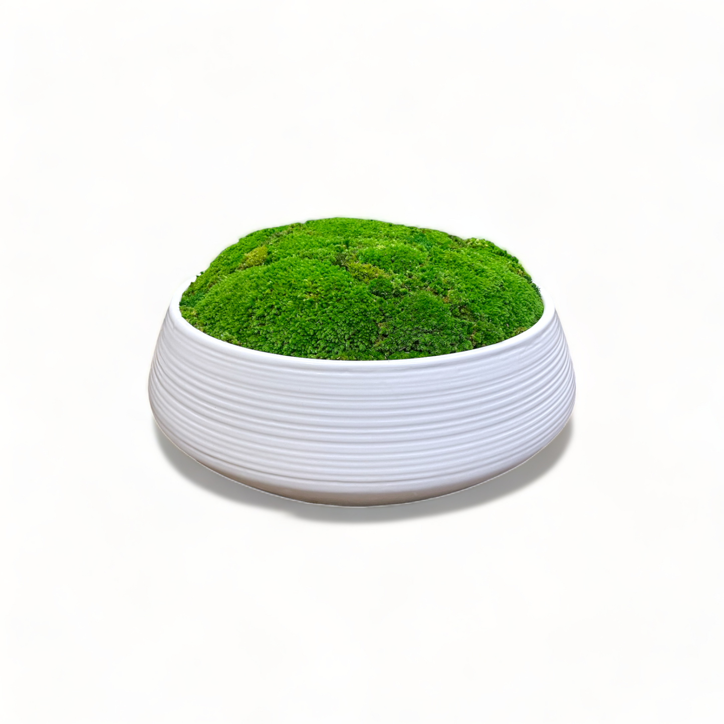 Oversized White Moss Bowl